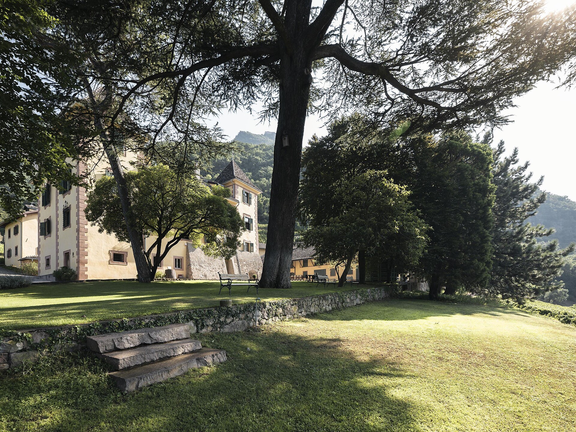 KORNELL - WO WEIN SCHON IMMER ZU HAUSE WAR - Südtiroler Weinstraße - #1 - suedtirol.info