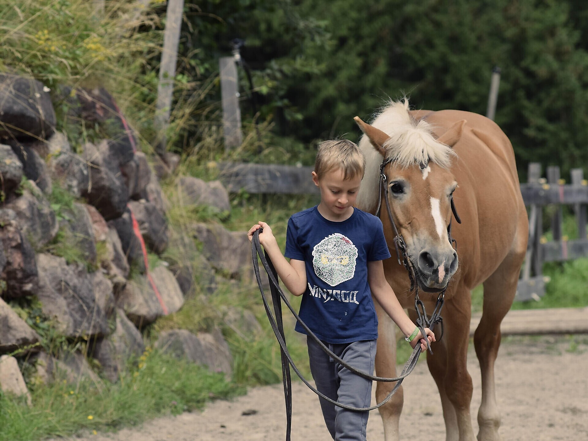 Kids Active: Tierliebende Pferdeflüsterer und Holzspielzeug - Dolomitenregion Gröden - #3 - suedtirol.info
