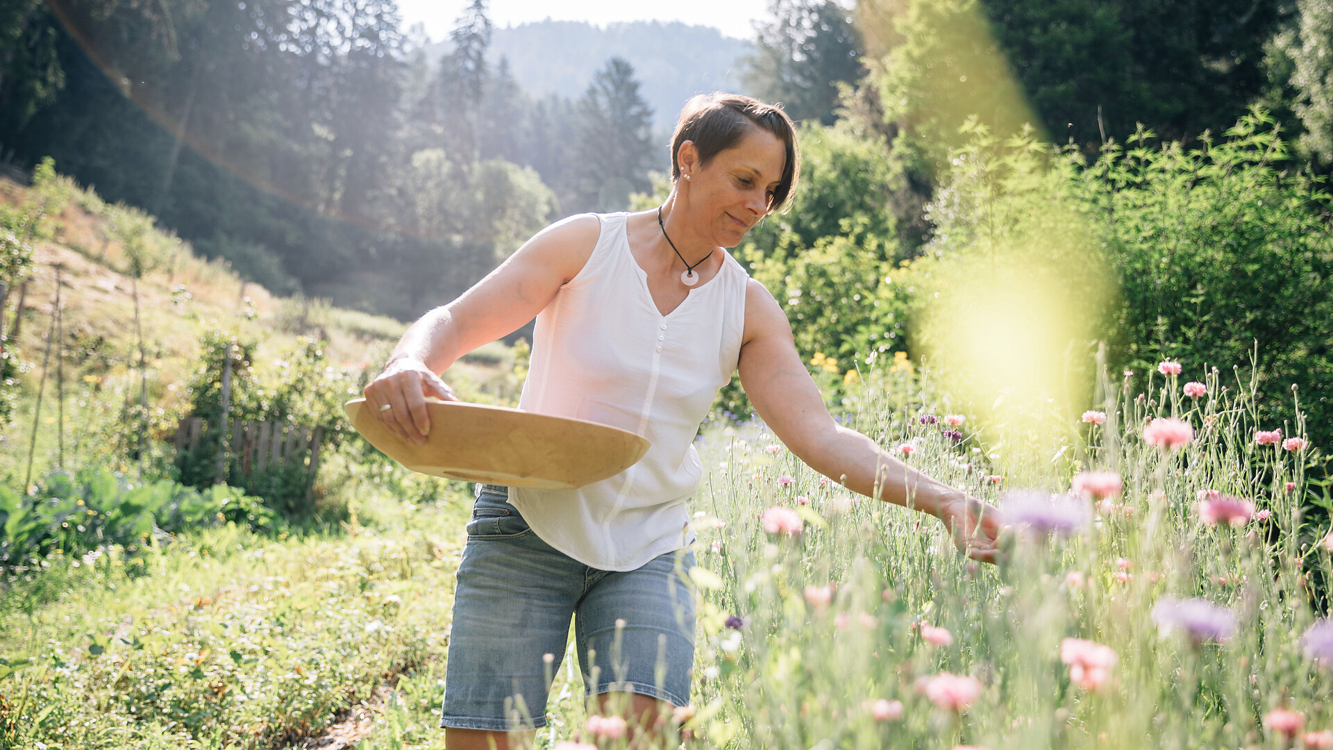 Herbal hike with workshop - Meran/Merano and environs - #1 - suedtirol.info