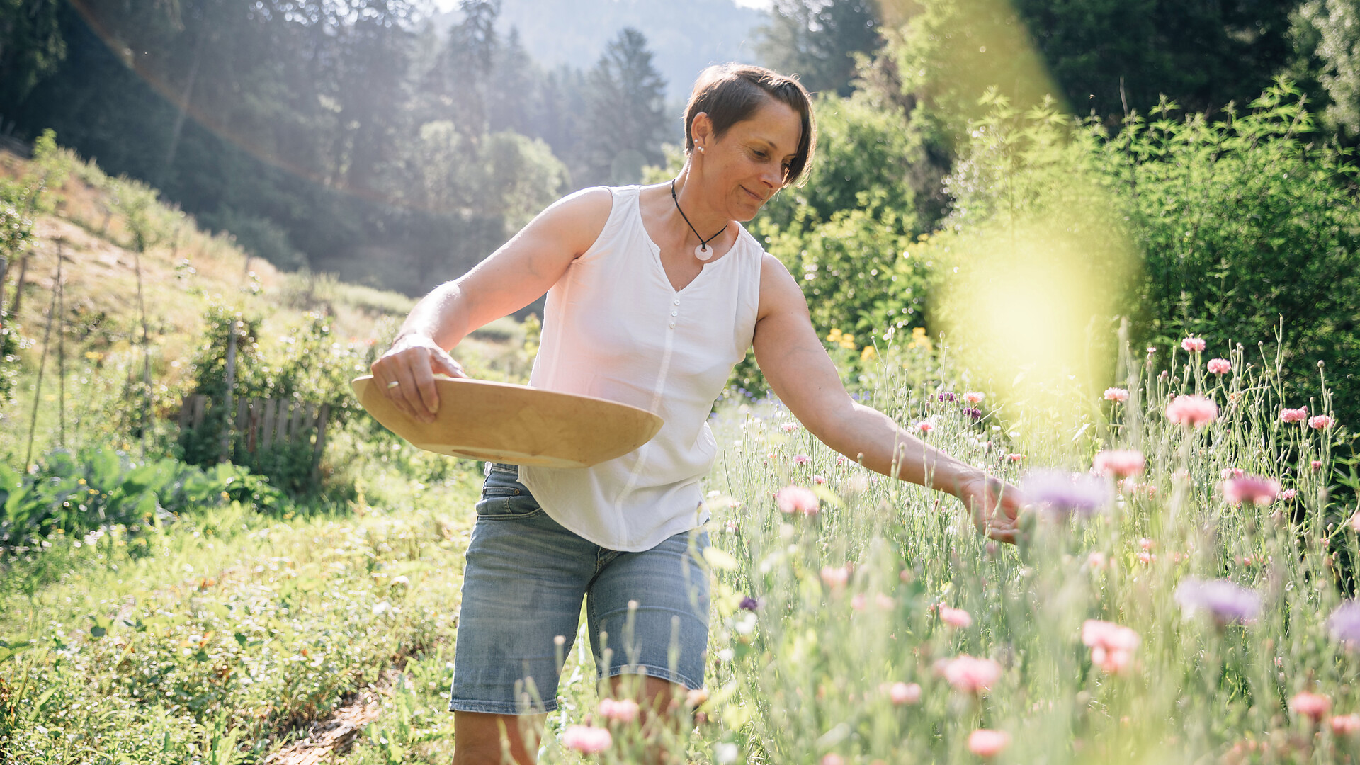 Herbal hike with workshop - Meran/Merano and environs - #1 - suedtirol.info