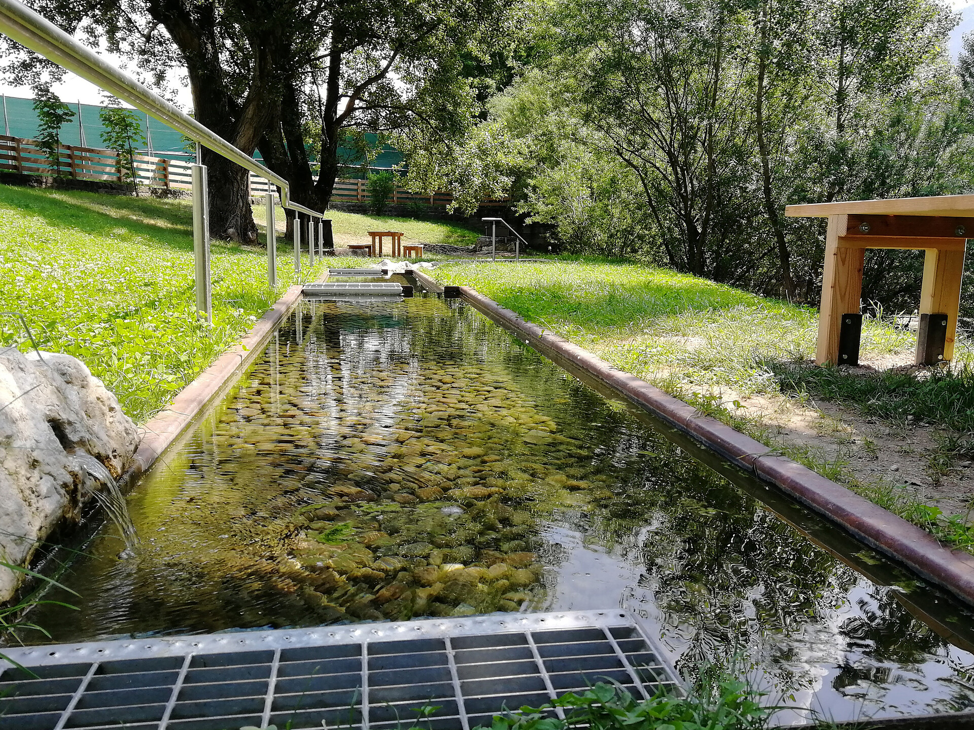 Visita guidata Kneipp a Magrè – vivere la natura con tutti i sensi - Strada del Vino - #1 - suedtirol.info