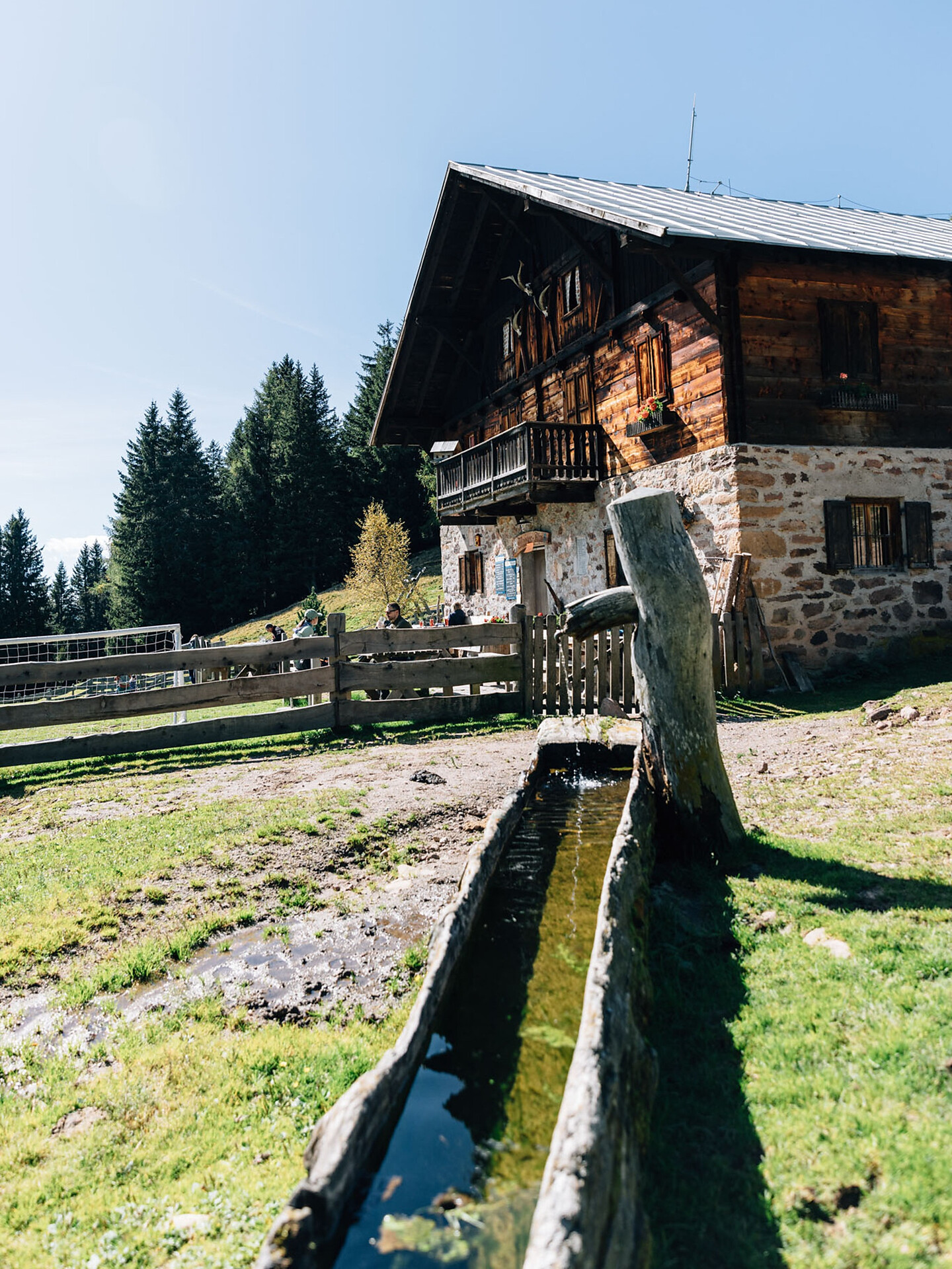 Sagra sulla malga Maiser ad Avelengo - Merano e dintorni - #3 - suedtirol.info
