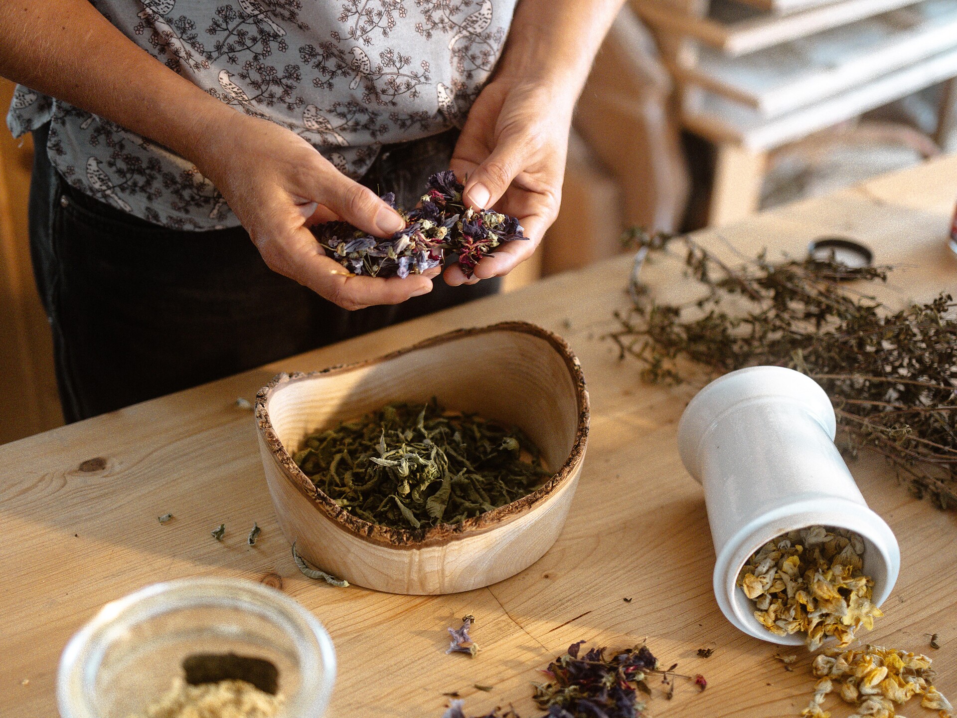 Herbal workshop - Alto Adige Wine Road - #1 - suedtirol.info