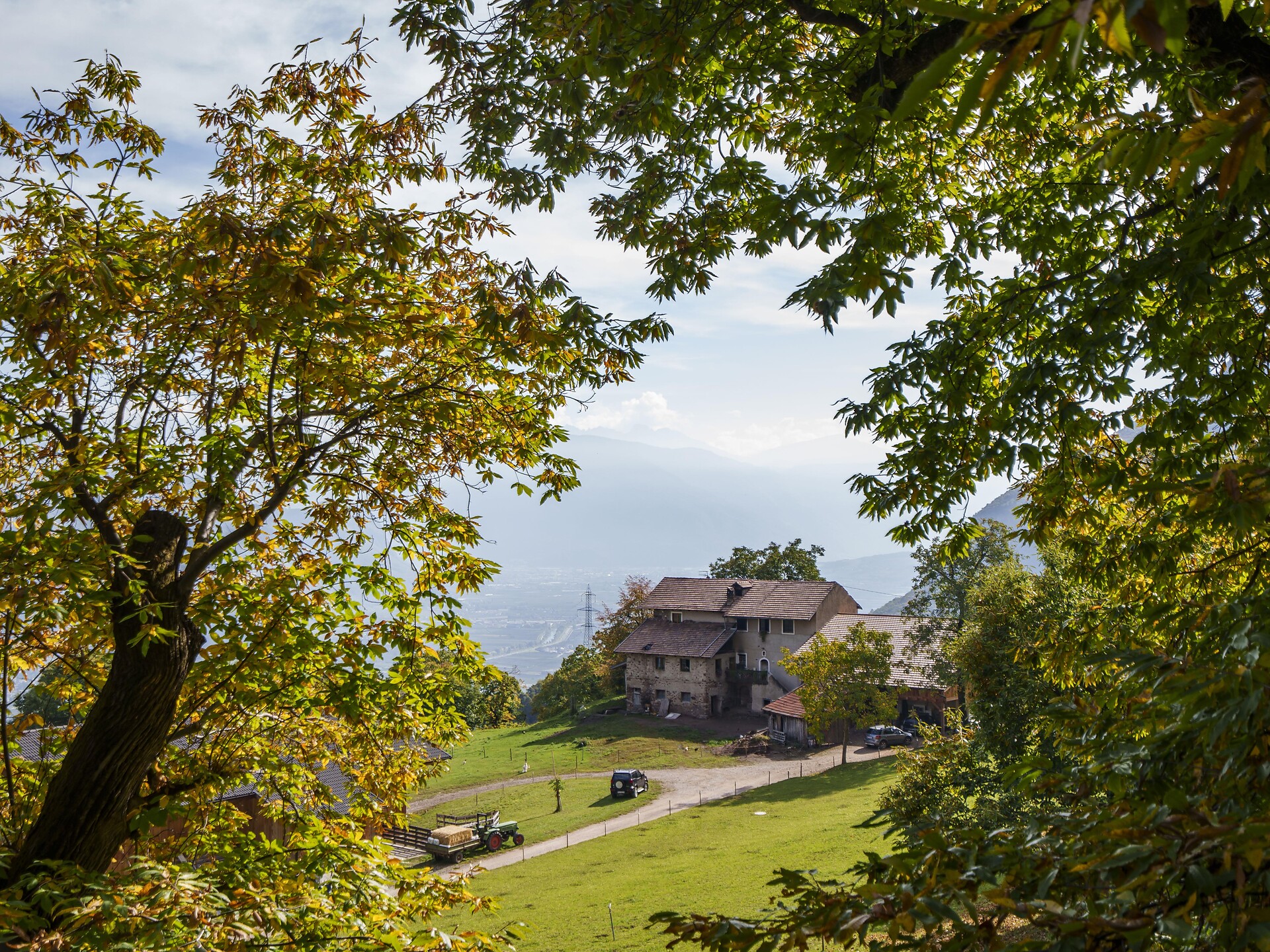 Castagneti, caldarroste e merenda tirolese (KESCHTNRIGGL) - Merano e dintorni - #1 - suedtirol.info