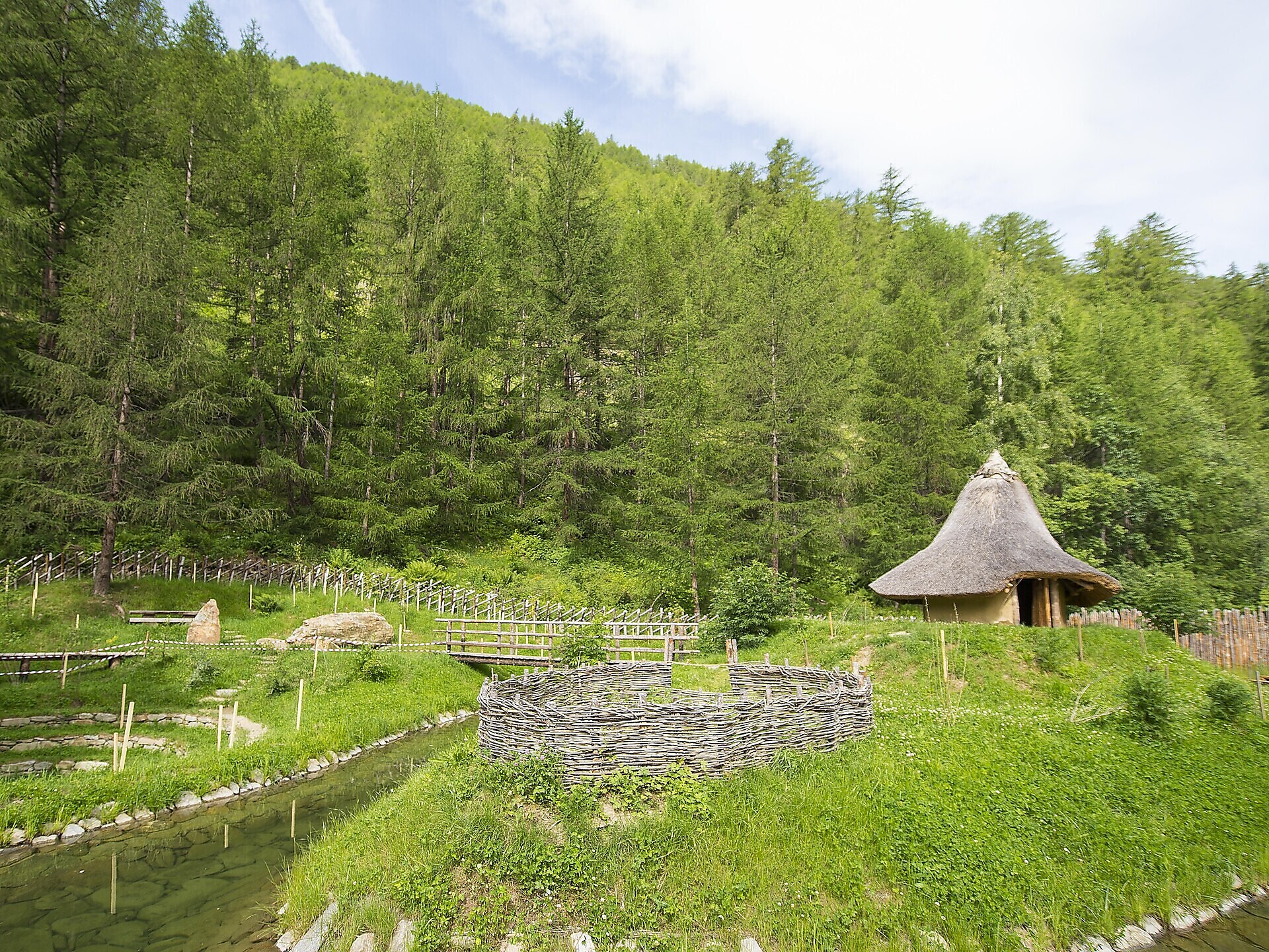 Mostra d'arte “Funghi – la storia culturale dei funghi da Ötzi ad oggi” - Val Venosta - #2 - suedtirol.info