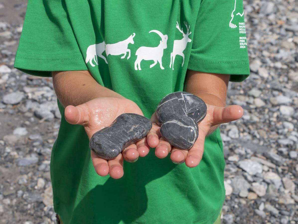 Kinderanimation mit PradKids - Vormittagsprogramm - Vinschgau - #1 - suedtirol.info