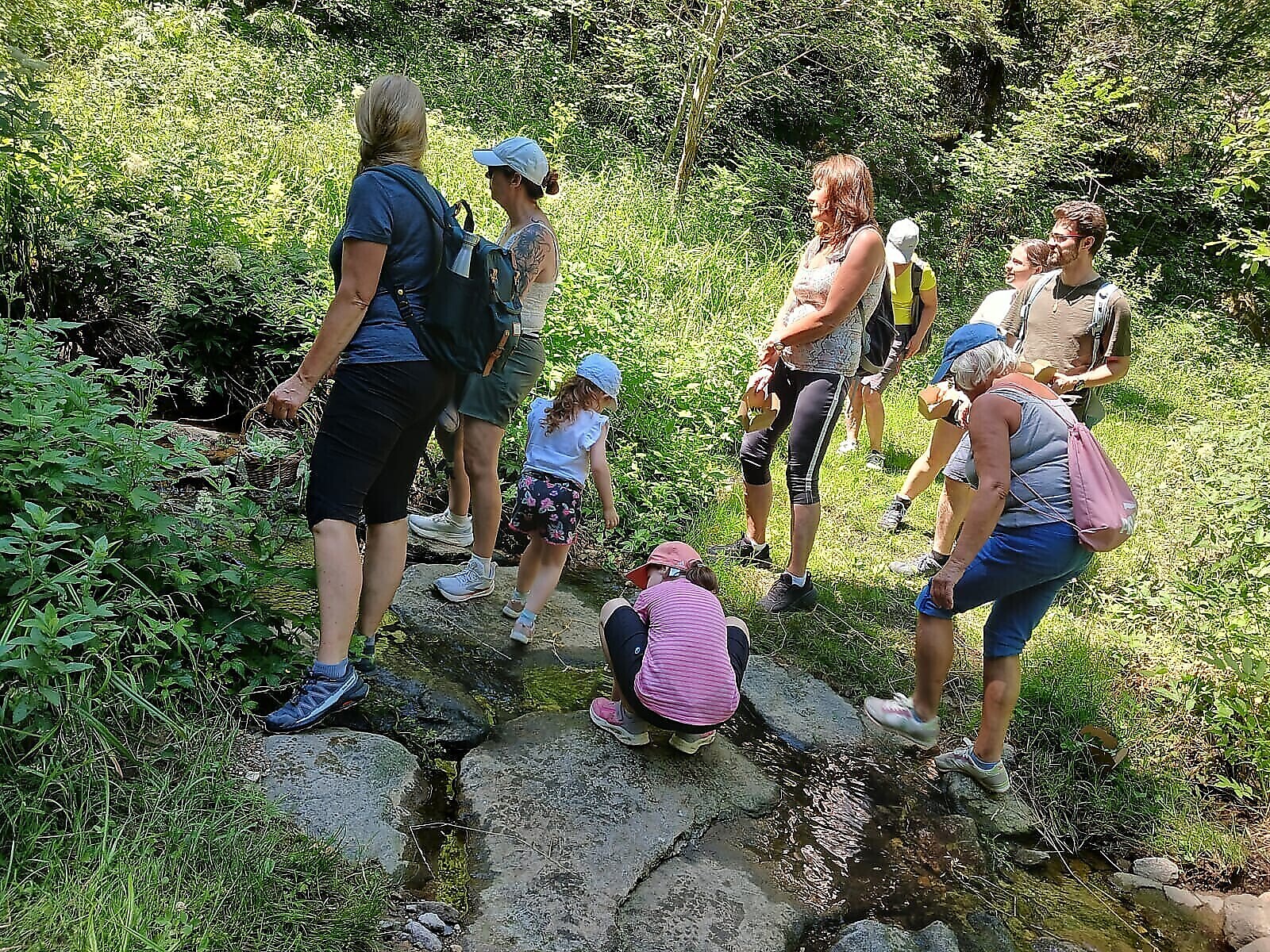 CleanUP Days - Kräuterwanderung in Steinegg–Wildkräuter und Beeren entdecken - Dolomitenregion Eggental - #1 - suedtirol.info