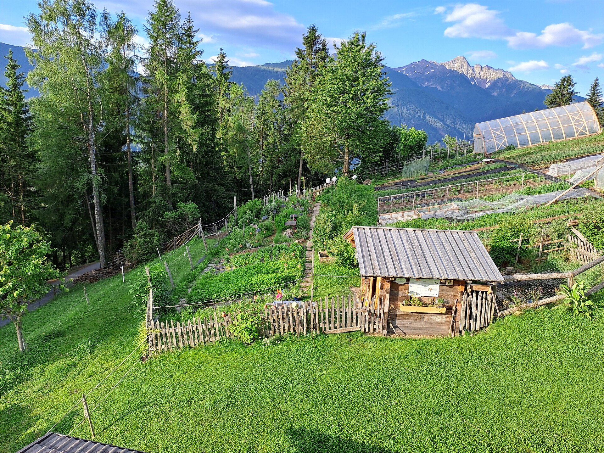 Herbal treasure hunt - Meran/Merano and environs - #1 - suedtirol.info