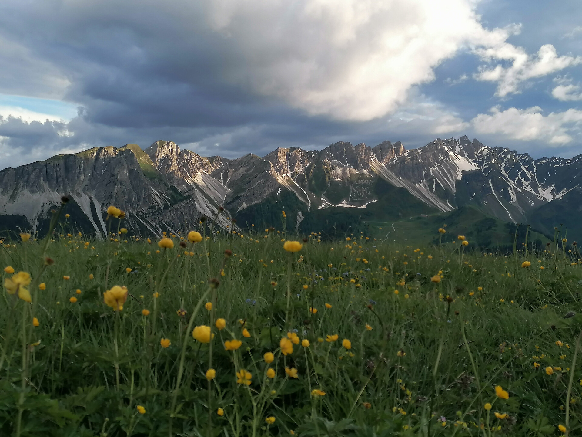 Herb festival "Mountain and Flower" in Ladurns - Sterzing/Vipiteno and environs - #1 - suedtirol.info