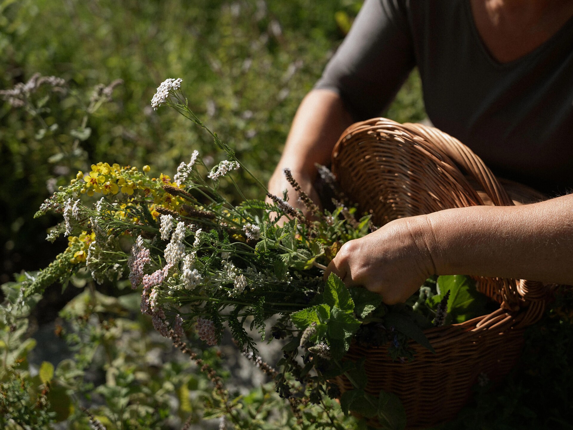 Kräuterworkshop am Niedersthof - Dolomitenregion Lüsen Villnöss - #2 - suedtirol.info