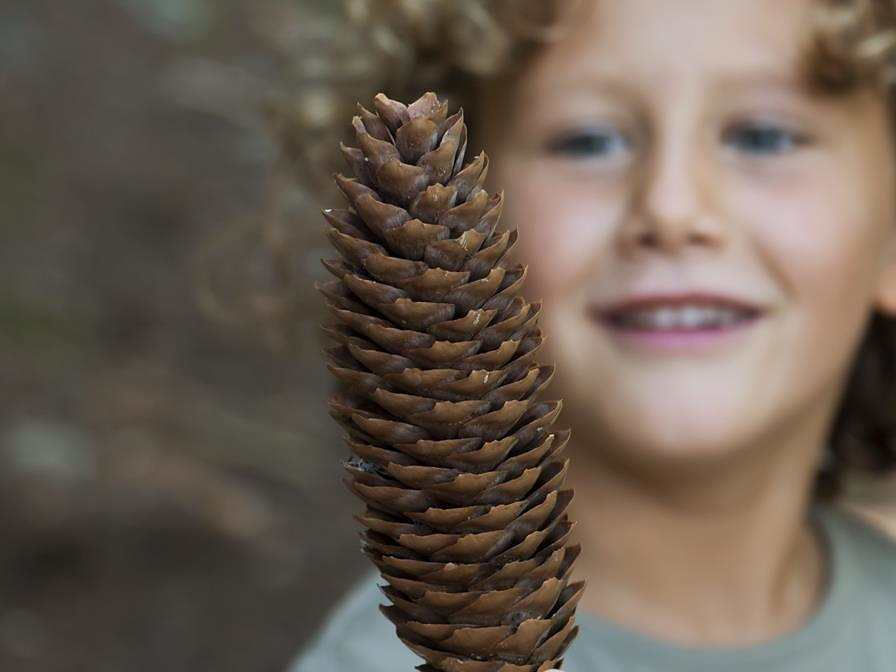 Animazione per bambini con PradKids - Programma del pomeriggio - Val Venosta - #3 - suedtirol.info