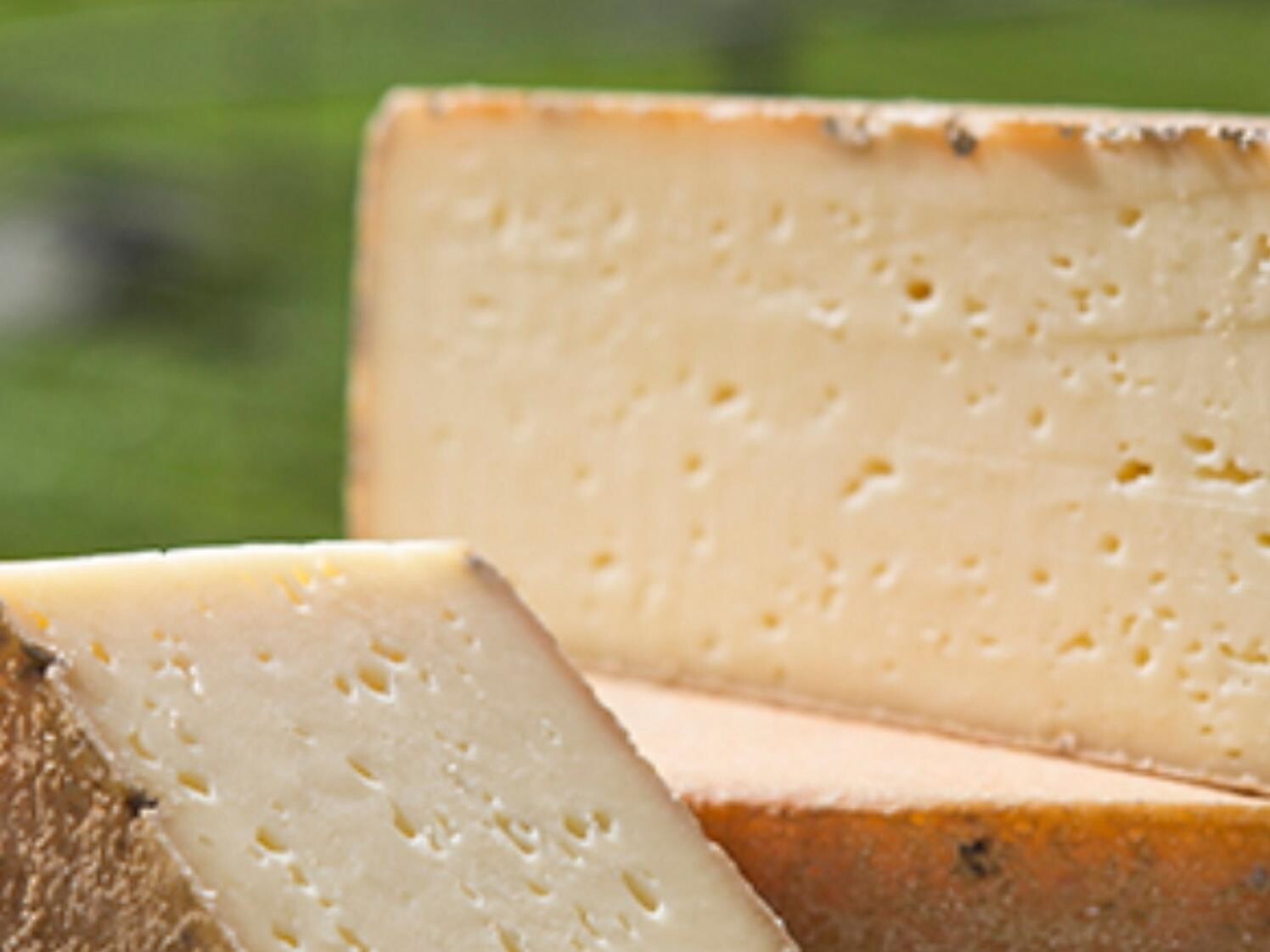Degustazione formaggio - Regione dolomitica Plan de Corones - #1 - suedtirol.info
