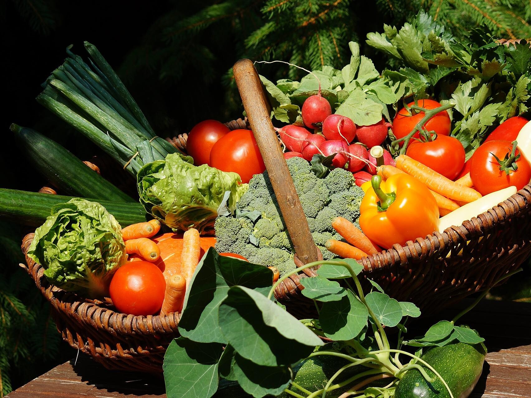 Small farmer's market in Steinegg|Collepietra - Dolomites Region Eggental - #2 - suedtirol.info