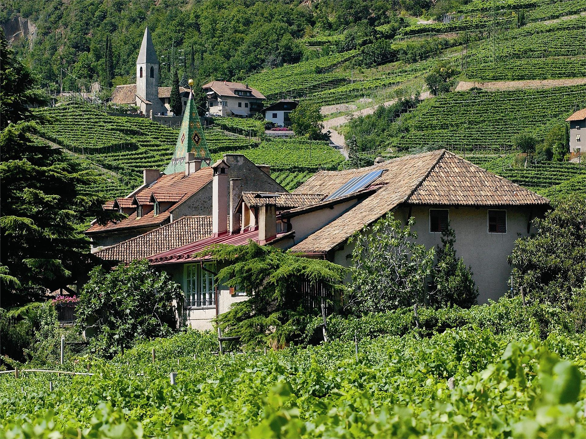 Kellerführung & Weinverkostung am Weingut Griesbauerhof Bozen 1 suedtirol.info