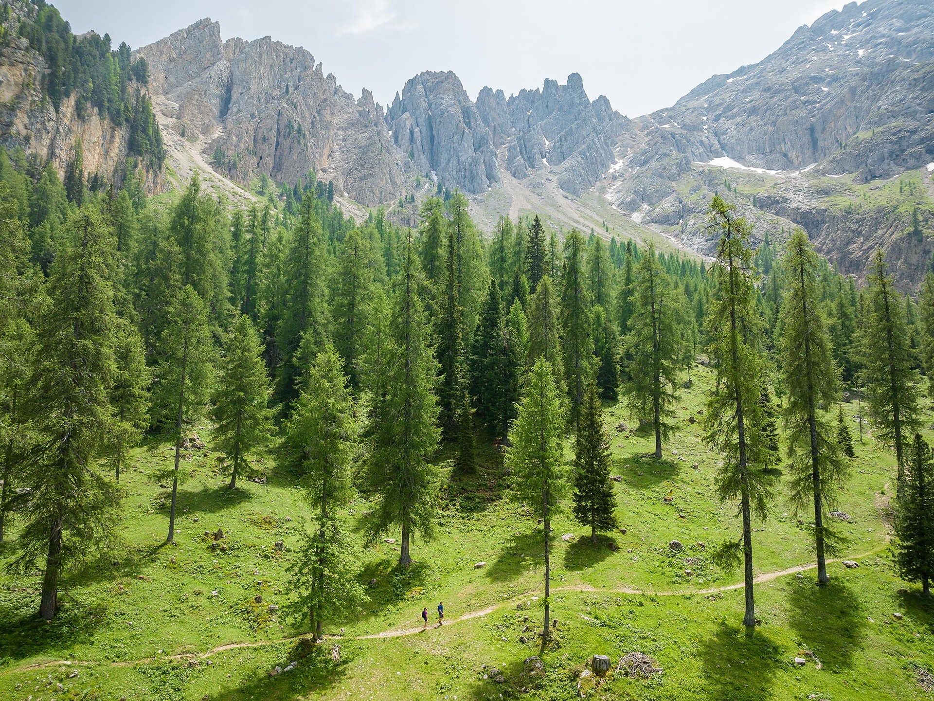 Kräuterwanderung zwischen Rosengarten und Latemar Welschnofen 1 suedtirol.info