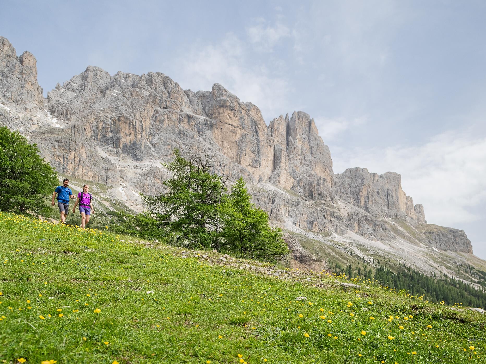 Kräuterwanderung zwischen Rosengarten und Latemar Welschnofen 2 suedtirol.info