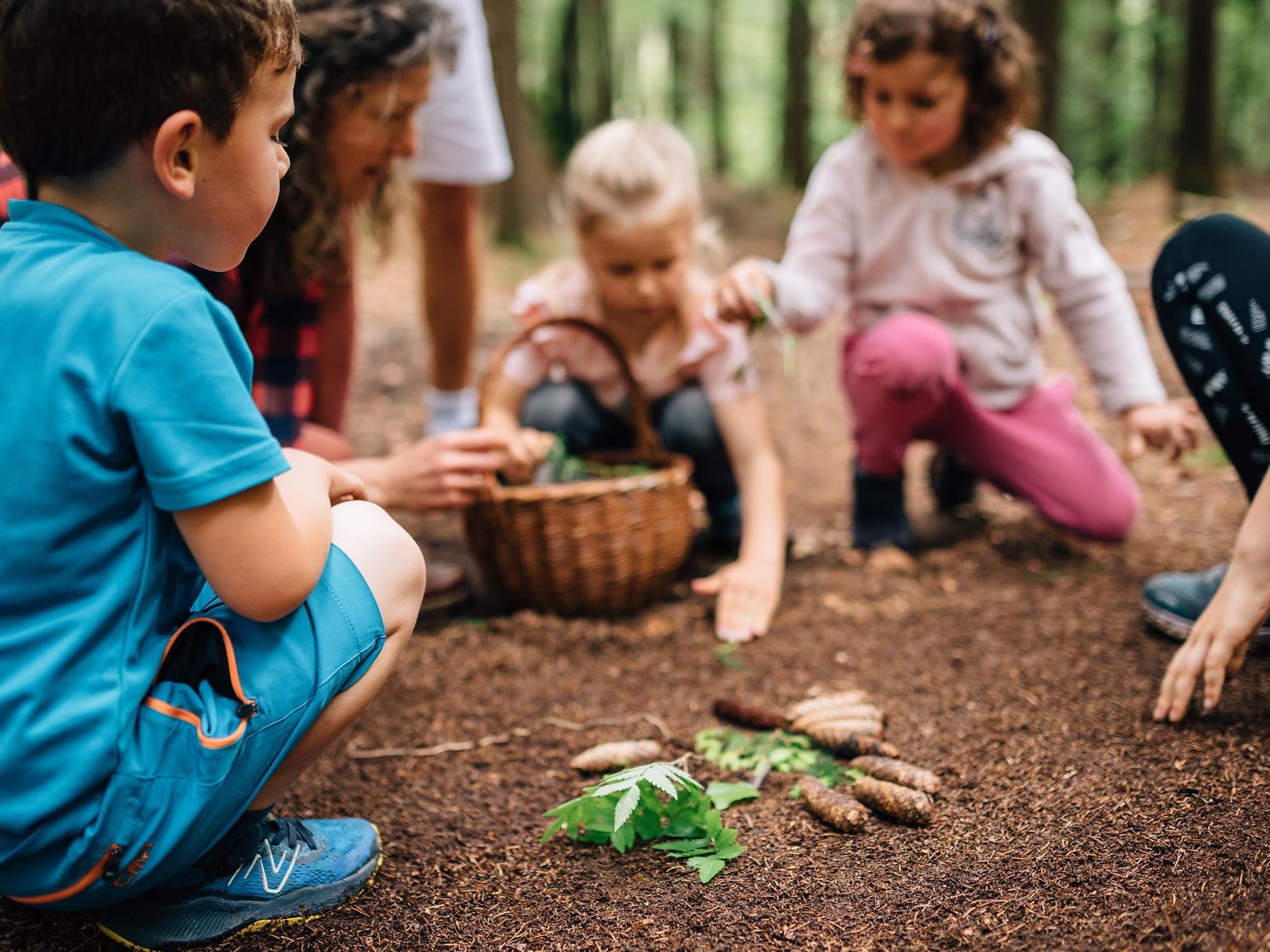 KIDS auf Entdeckungsreise im Wald Hafling 3 suedtirol.info