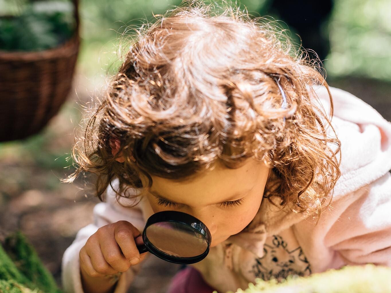 KIDS auf Entdeckungsreise im Wald Hafling 2 suedtirol.info