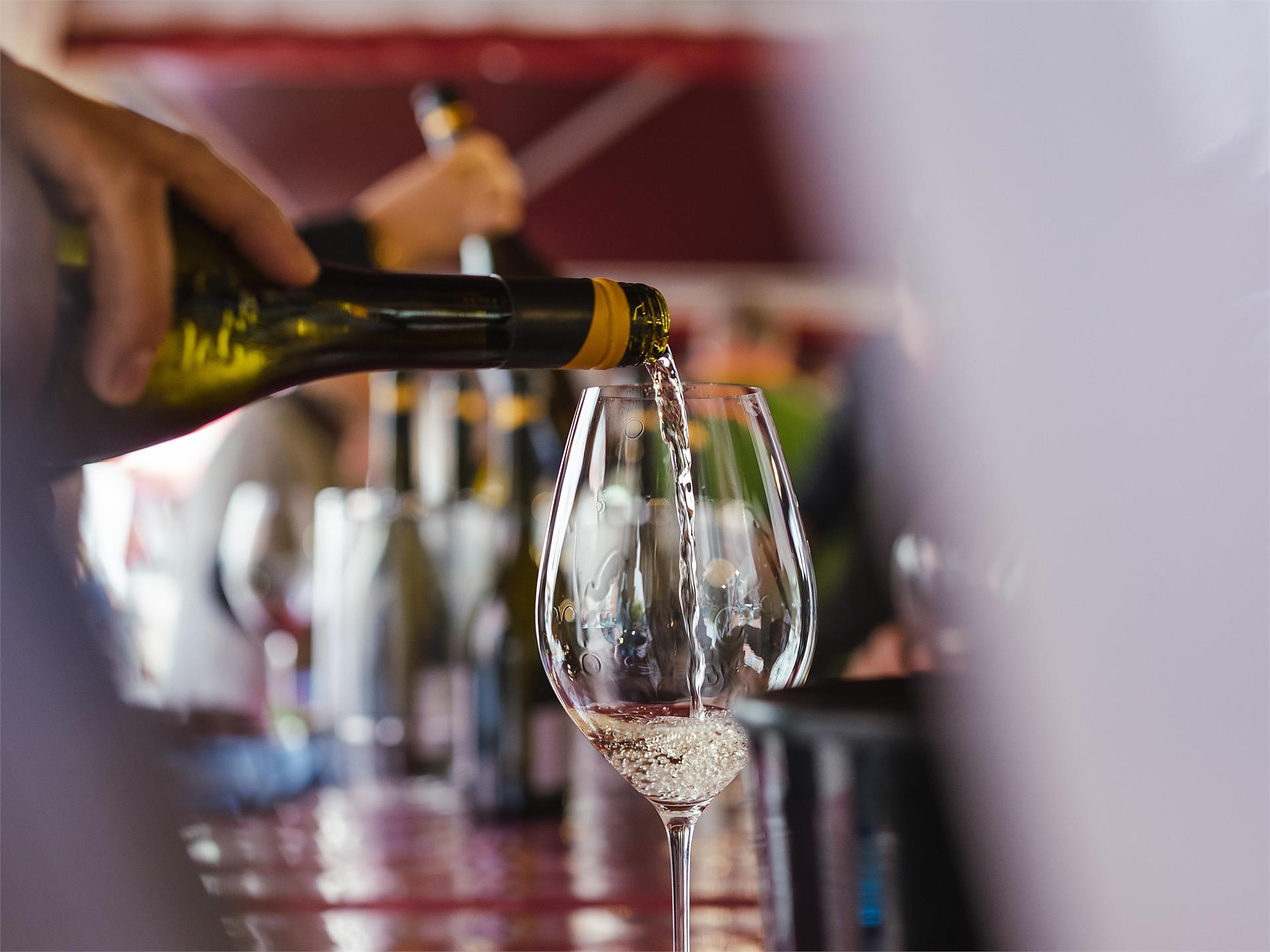 Vino e Cucina a Caldaro - Strada del Vino - #2 - suedtirol.info