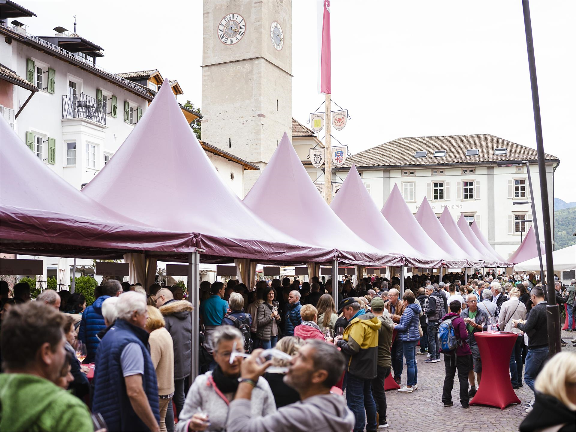 Vino e Cucina a Caldaro - Strada del Vino - #1 - suedtirol.info
