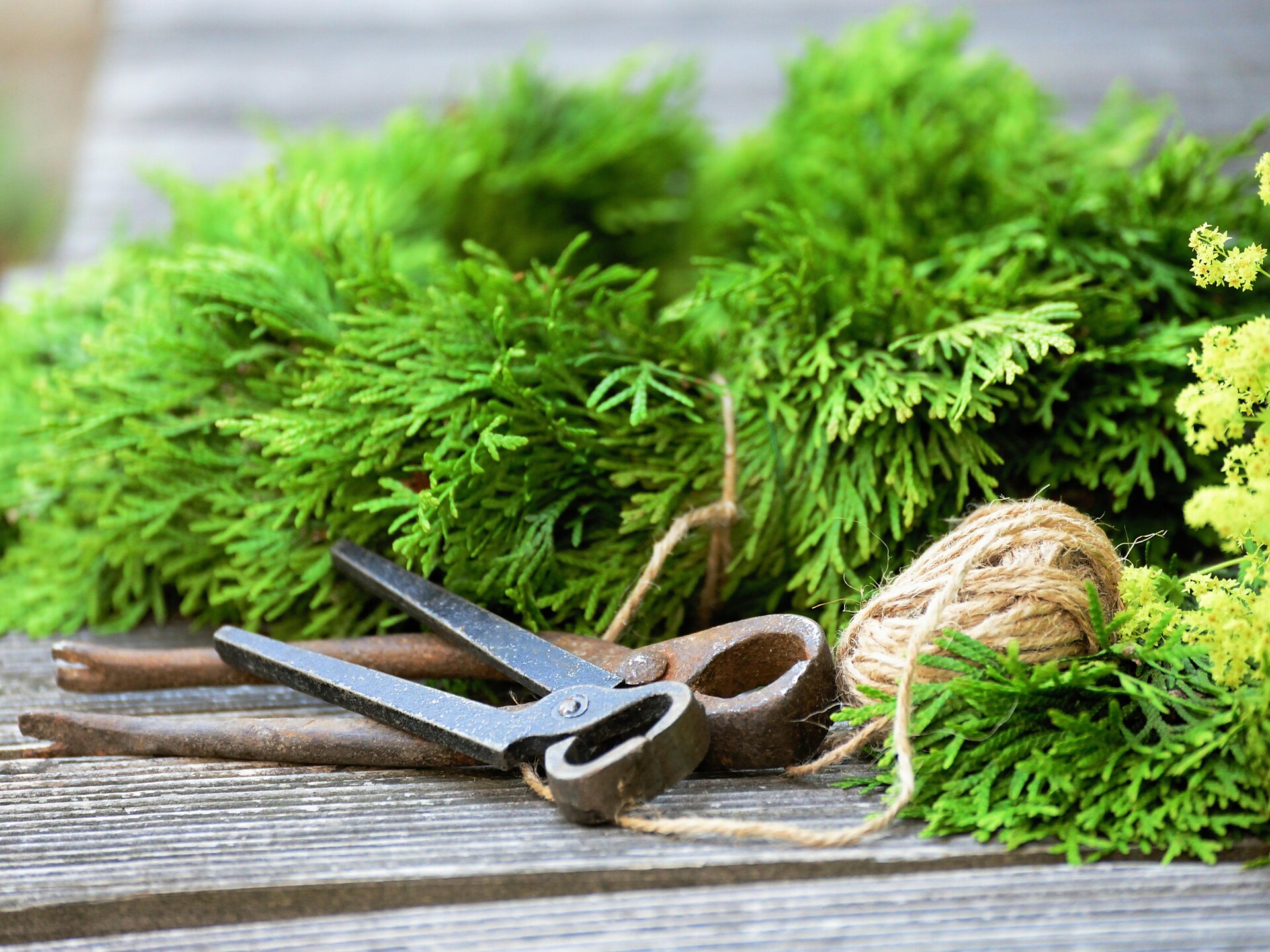 Herbal workshop: crafting natural decorations - Dolomites Region Eggental - #1 - suedtirol.info
