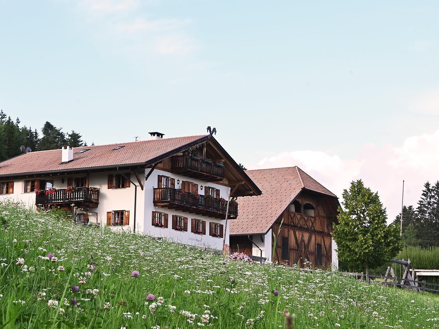 Kaserhof da vivere - tour di trekking individuali con lama e alpaca con Juri Renon 2 suedtirol.info