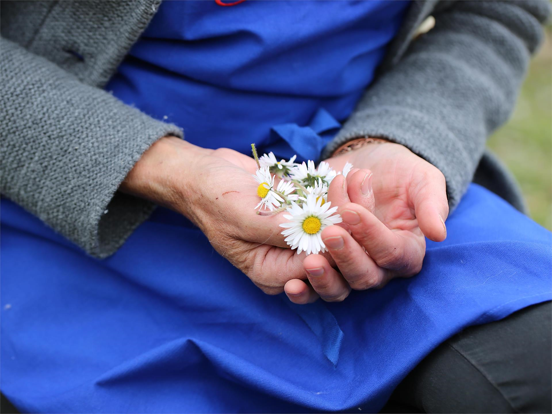 Effective medicinal herbs and healthy indulgence Partschins/Parcines 3 suedtirol.info