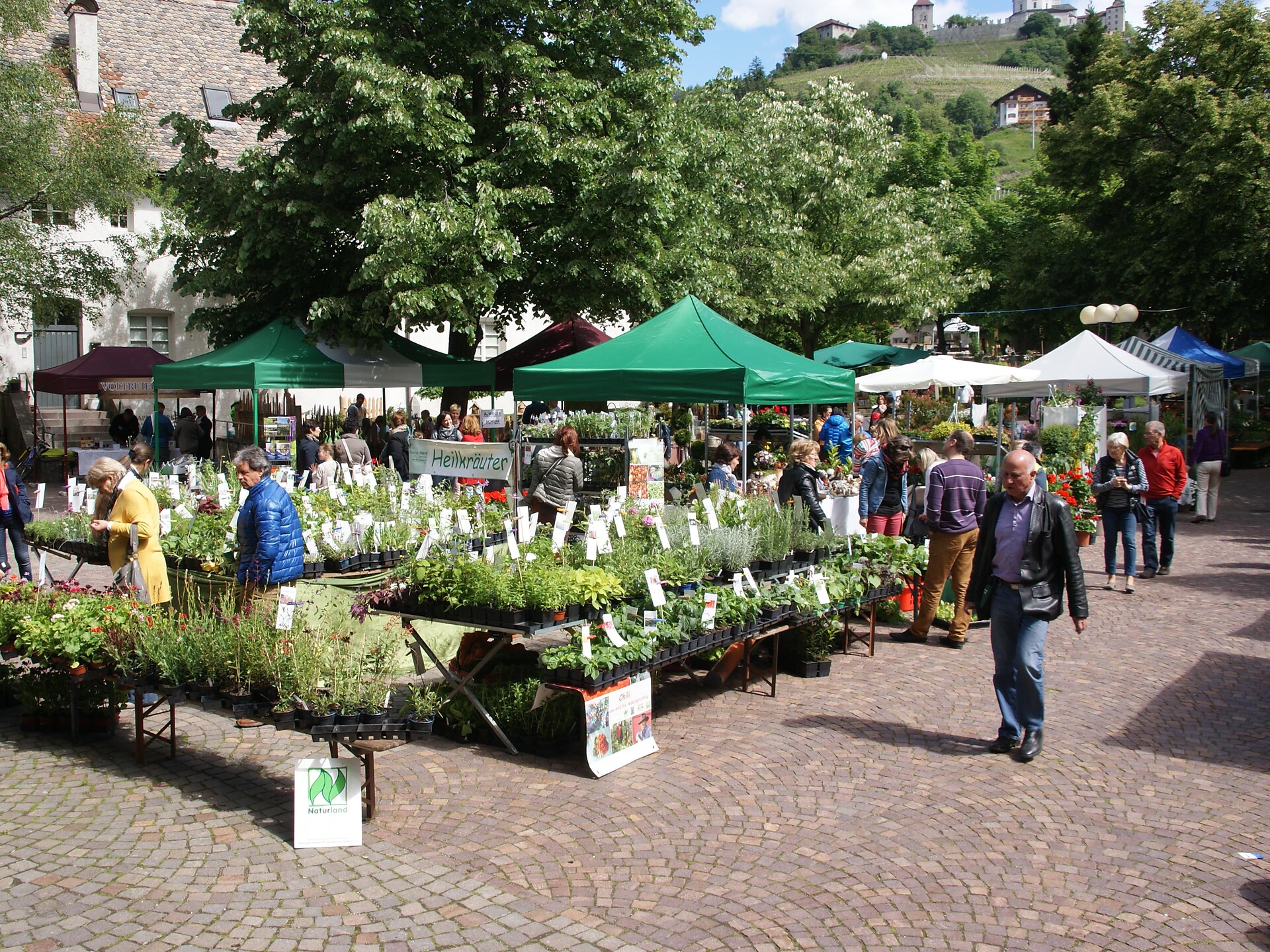 Fiera Idee Giardino Chiusa: Brennende Liab & Co. Chiusa 2 suedtirol.info