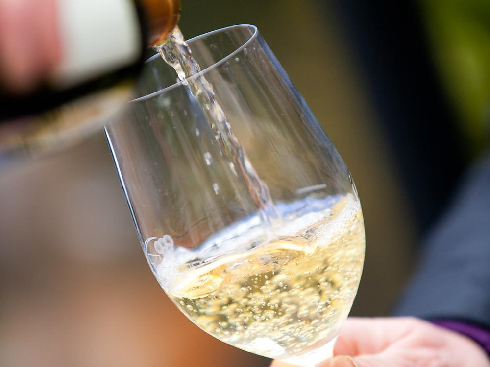 Visita guidata alla cantina dell´azienda vinicola A- V. Elzenbaum Termeno sulla Strada del Vino 2 suedtirol.info