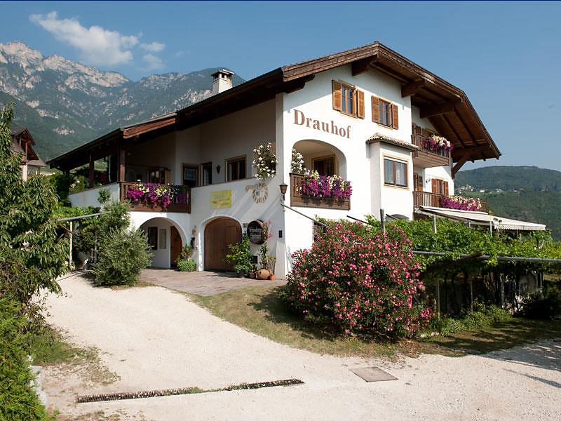 Visita guidata alla cantina dell´azienda vinicola A- V. Elzenbaum Termeno sulla Strada del Vino 1 suedtirol.info