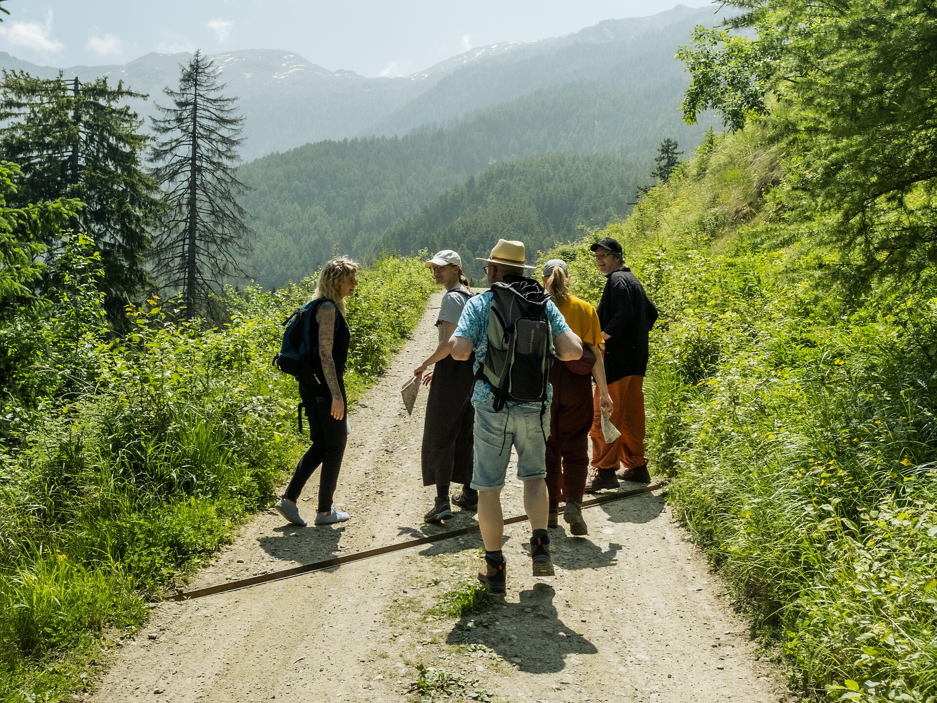 Escursione delle erbe al Monte Tramontana di Ciardes - Merano e dintorni - #1 - suedtirol.info