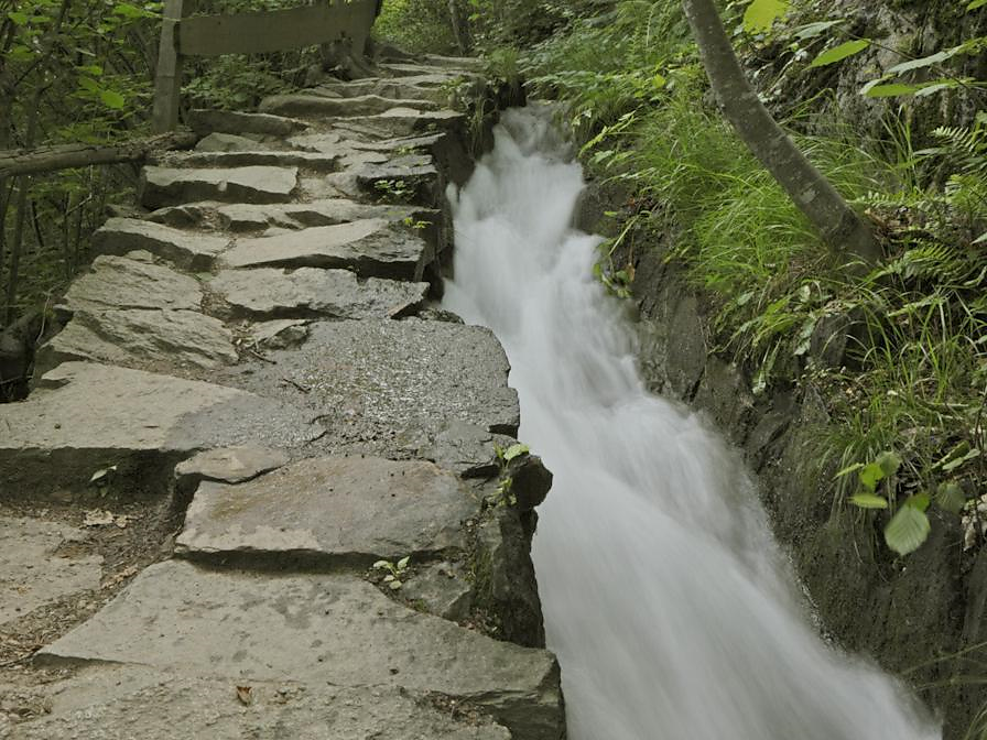 Herbal hike and water treading - at the Partschins Waalweg Partschins/Parcines 3 suedtirol.info