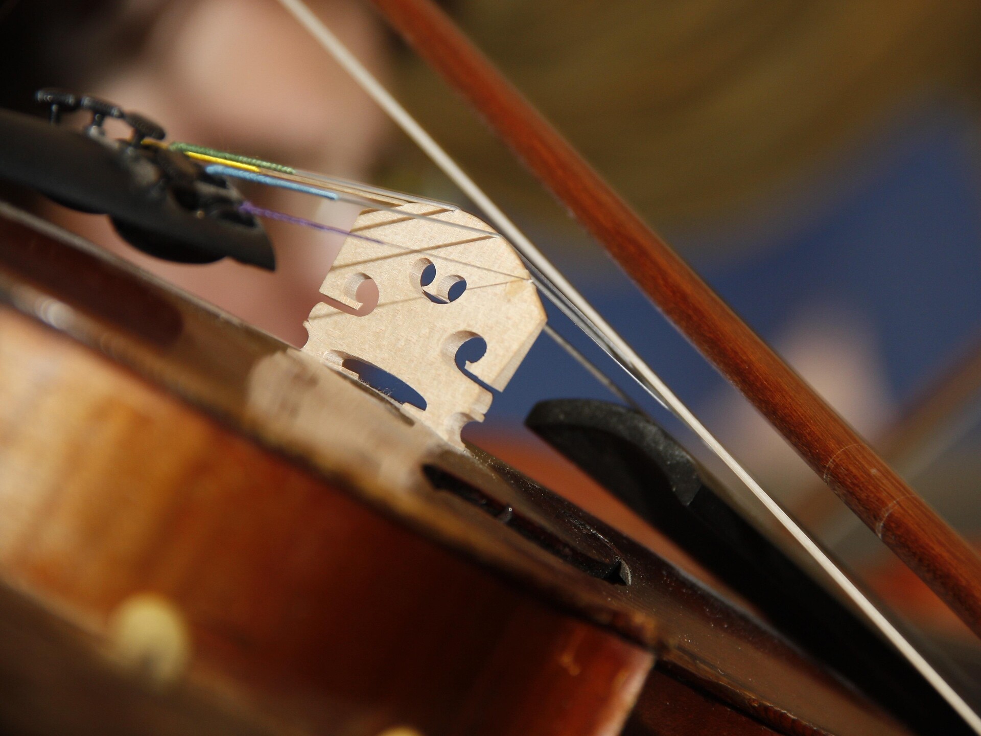 Concert of the Merano Music School Meran/Merano 1 suedtirol.info