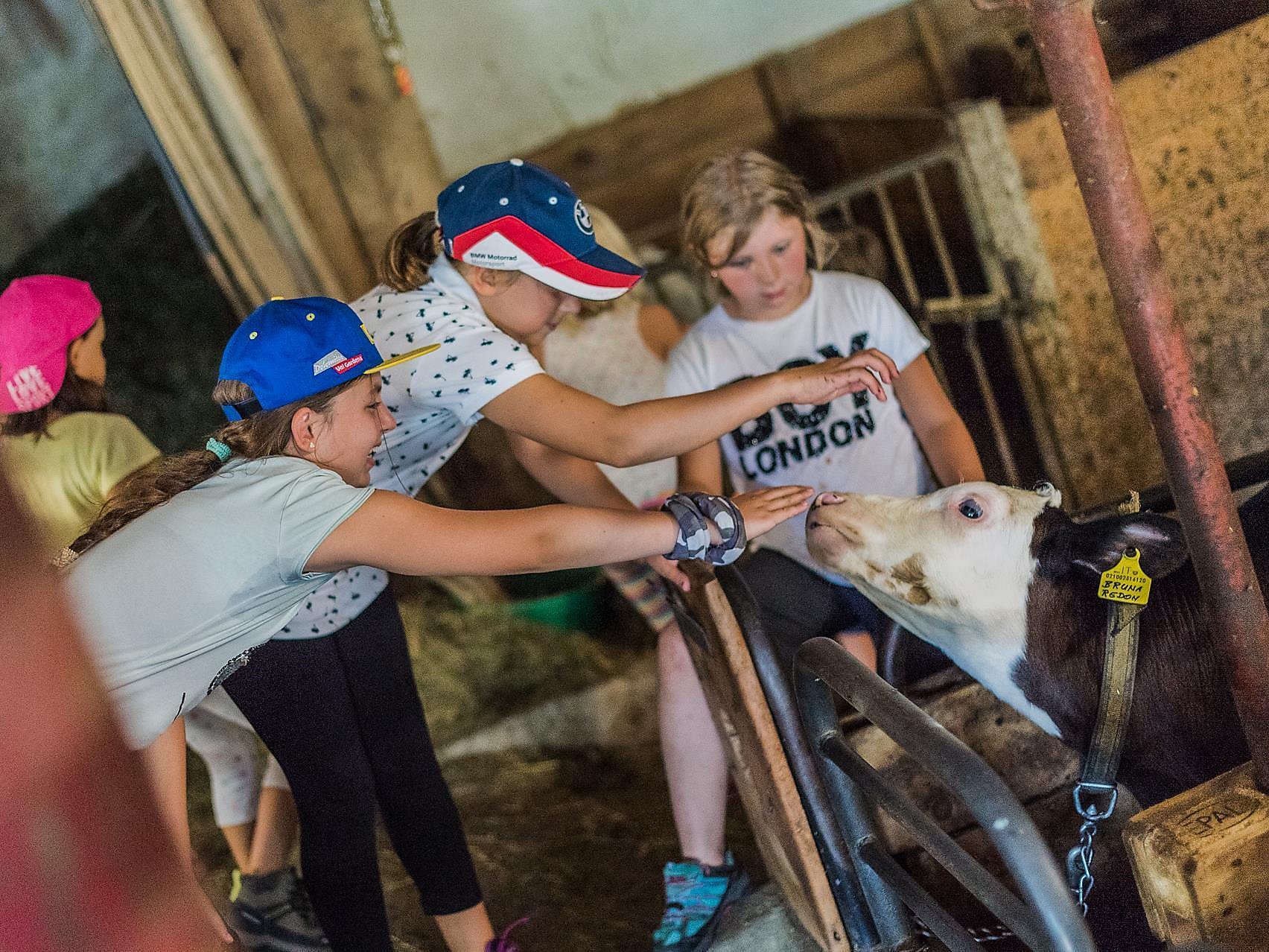Kids Active: Brave Bikers and Excitement of Farm Adventures - Dolomites Region Val Gardena - #2 - suedtirol.info