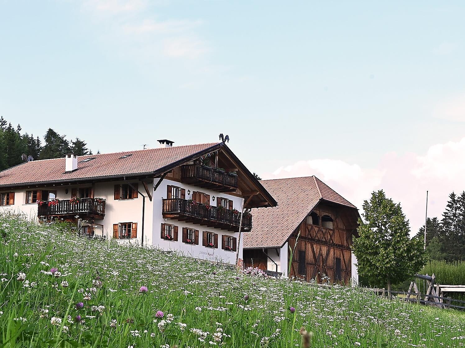 Kaserhof erleben - Lama/Alpaka-Trekkingtouren mit Juri - Schlernpanorama Ritten 2 suedtirol.info