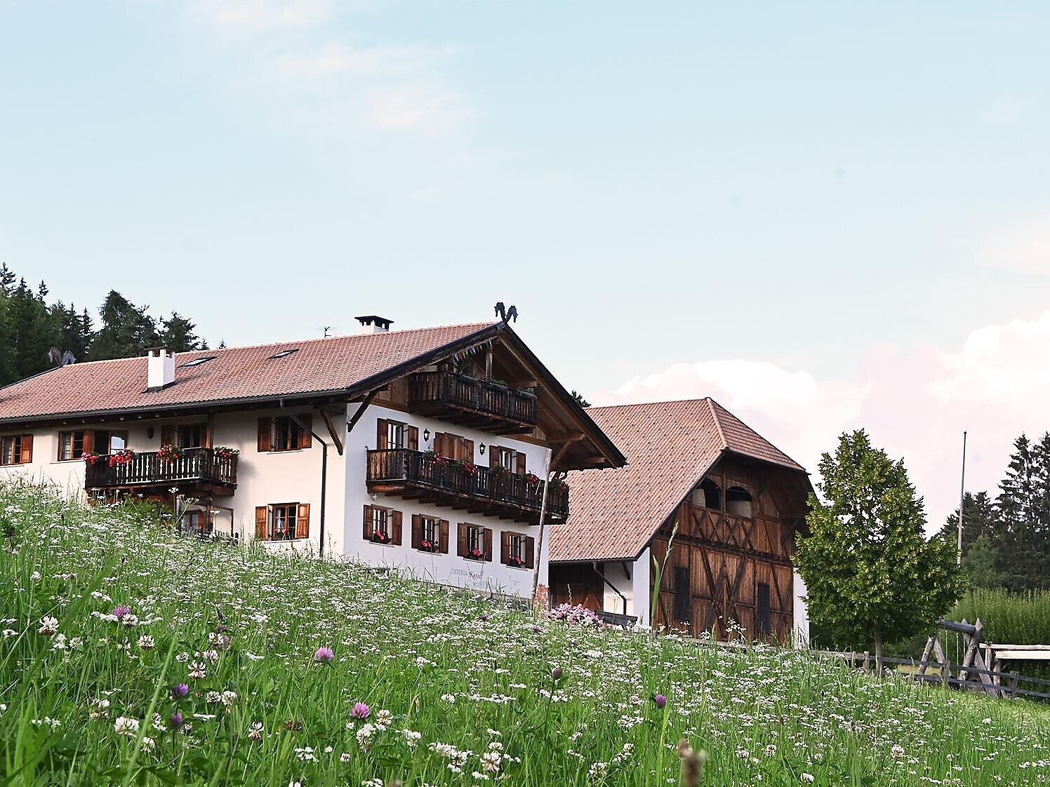 Kaserhof da vivere - tour di trekking individuali con lama/alpaca con Juri Renon 2 suedtirol.info