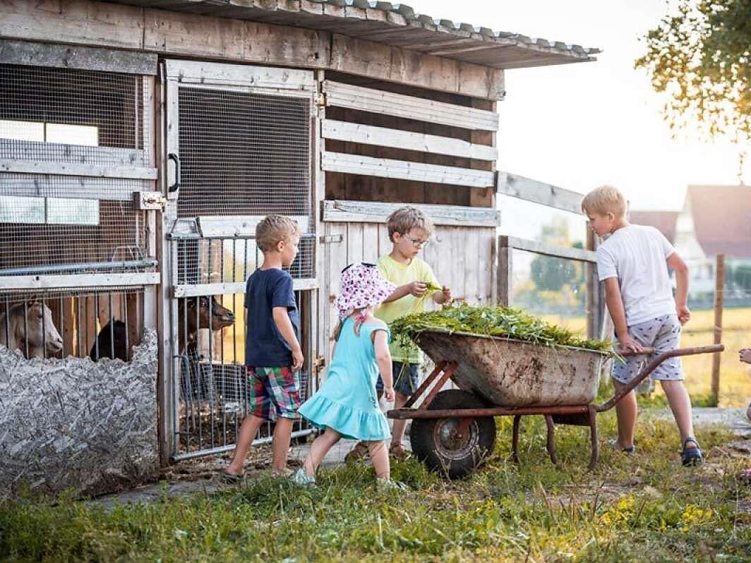 Programma Kids Active Laion 1 suedtirol.info