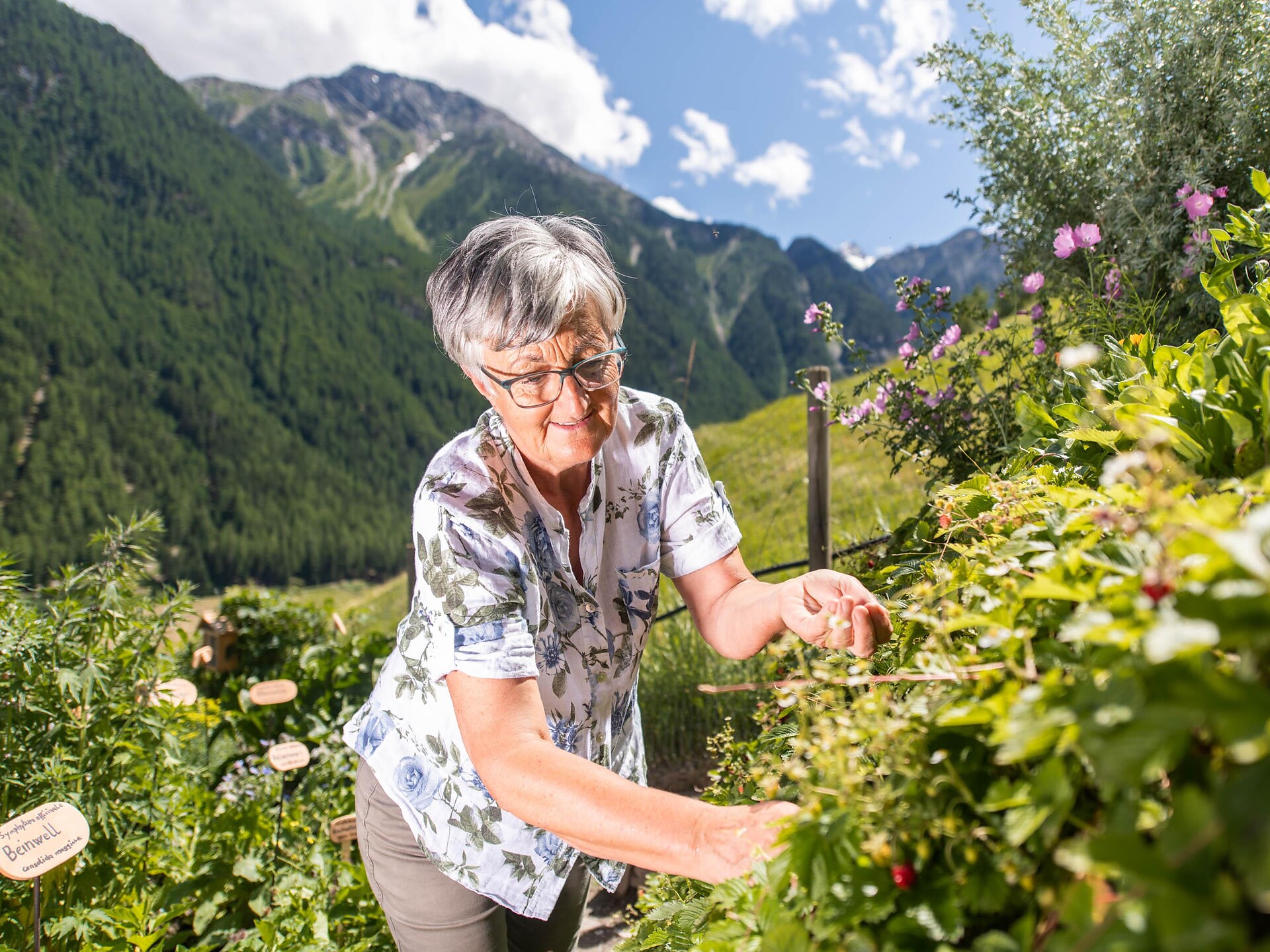 Visita guidata all'Orto delle erbe officinali Martello 1 suedtirol.info