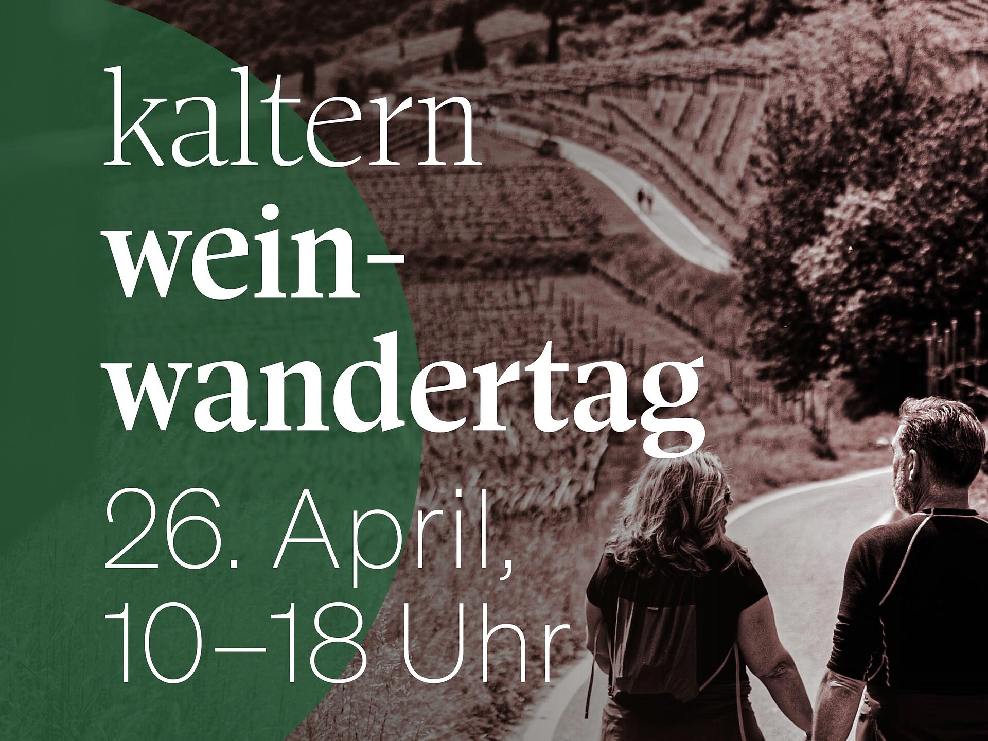 Wine Excursion Day - Alto Adige Wine Road - #1 - suedtirol.info