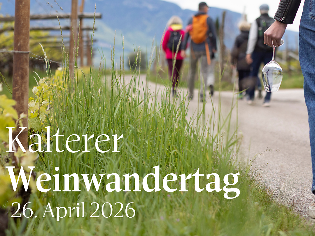 Kalterer Weinwandertag - Südtiroler Weinstraße - #1 - suedtirol.info