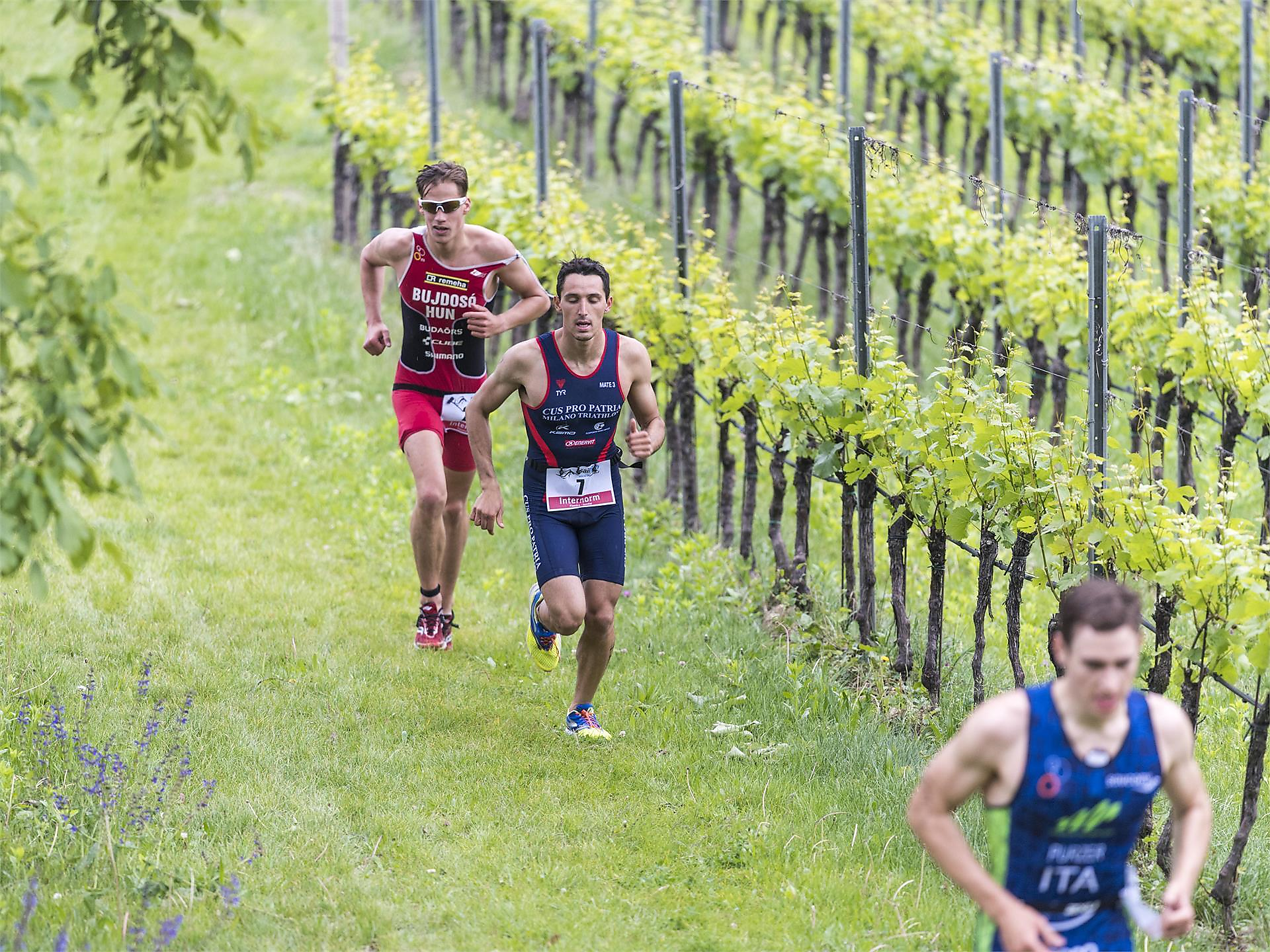 Kalterer See Triathlon Charity-Event Kaltern an der Weinstraße/Caldaro sulla Strada del Vino 3 suedtirol.info