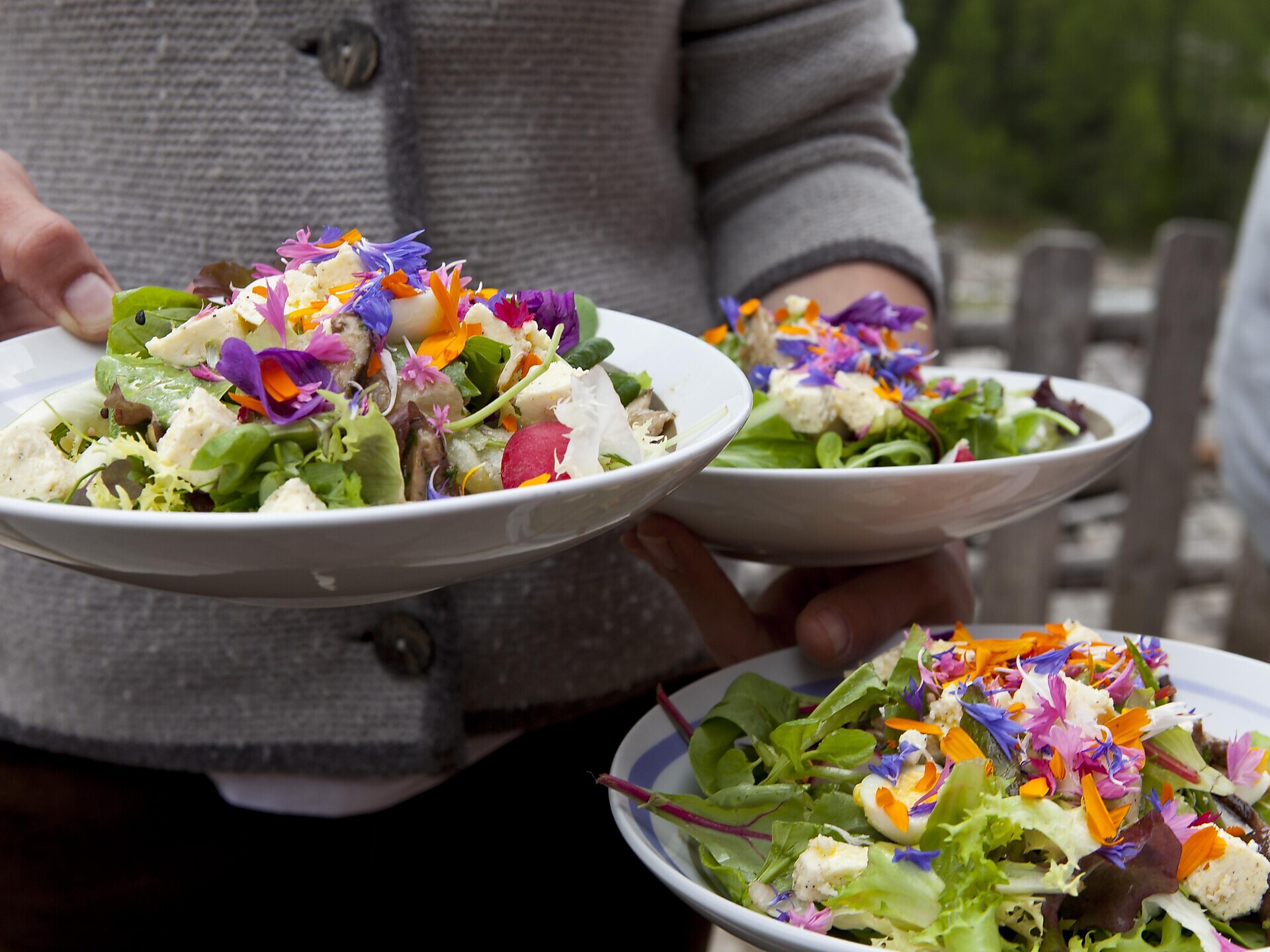 Herb festival "Mountain and Flower" in Ladurns - Sterzing/Vipiteno and environs - #1 - suedtirol.info