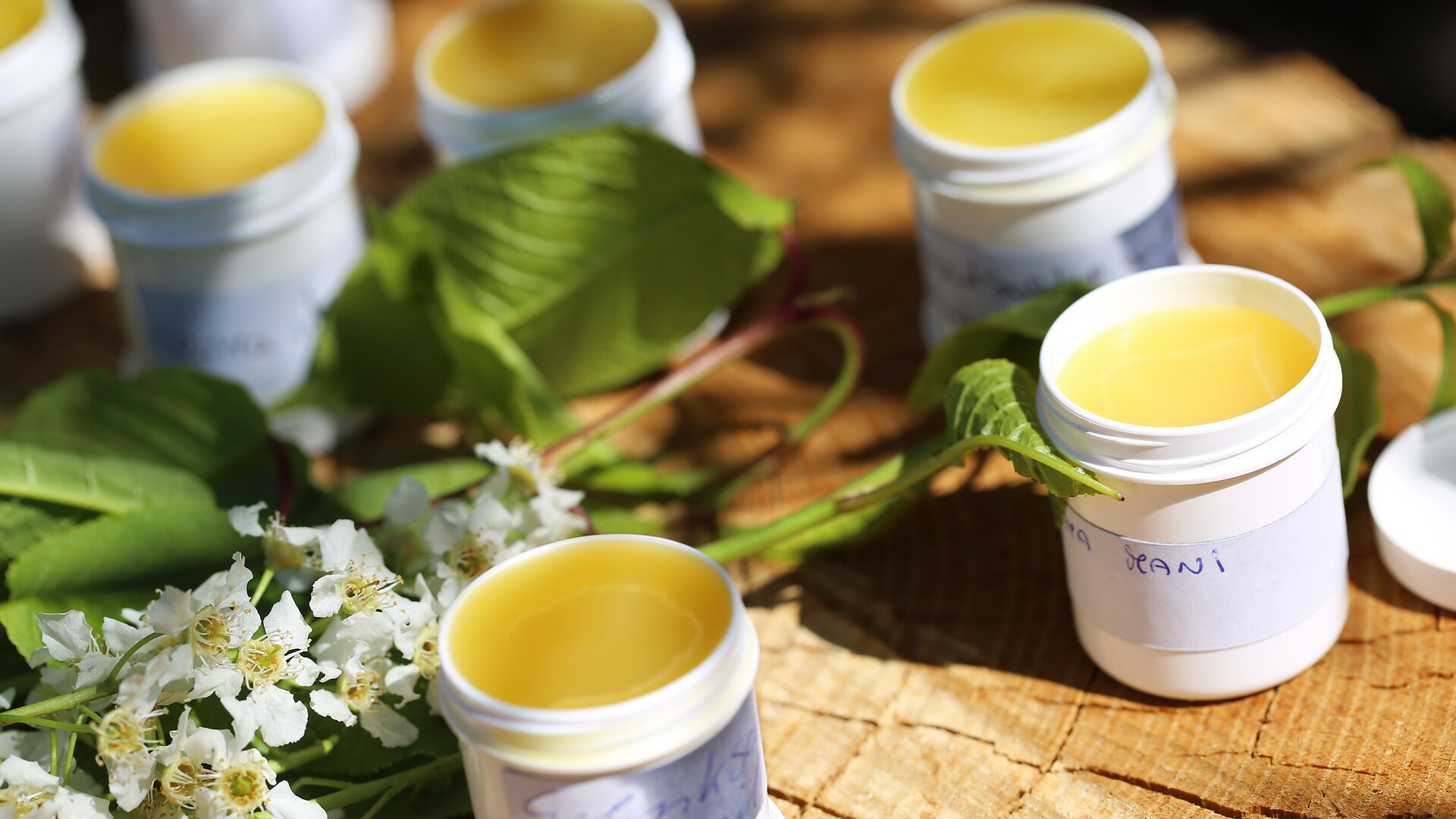 Kräuterworkshop - Meran und Umgebung - #2 - suedtirol.info