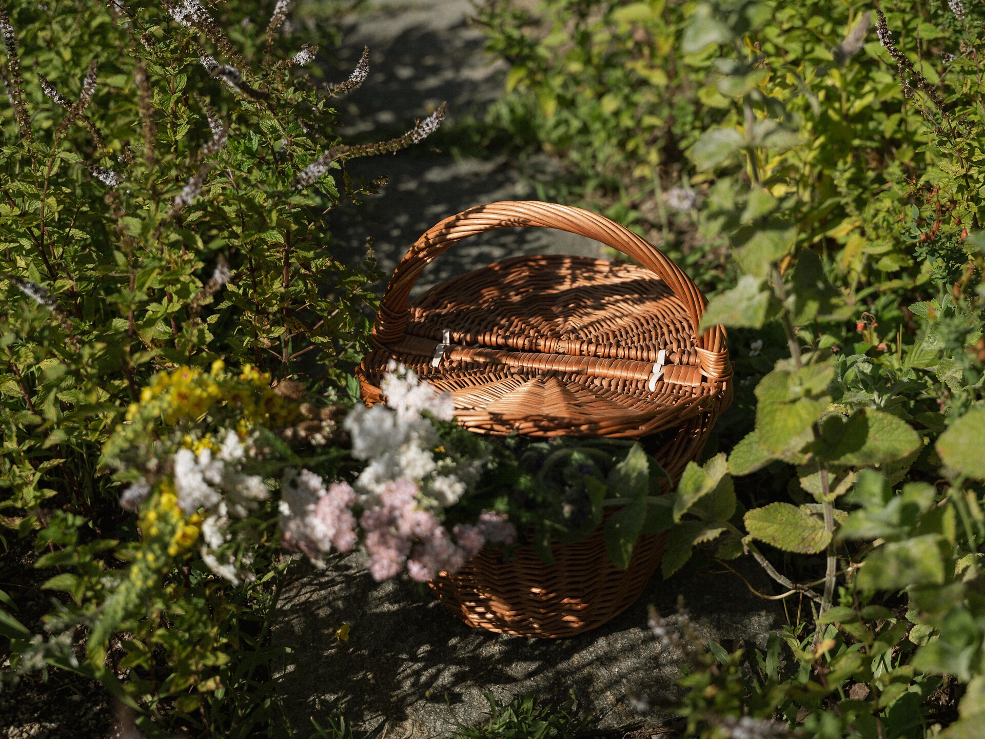 Kräuterworkshop am Niedersthof - Dolomitenregion Villnösstal - #1 - suedtirol.info