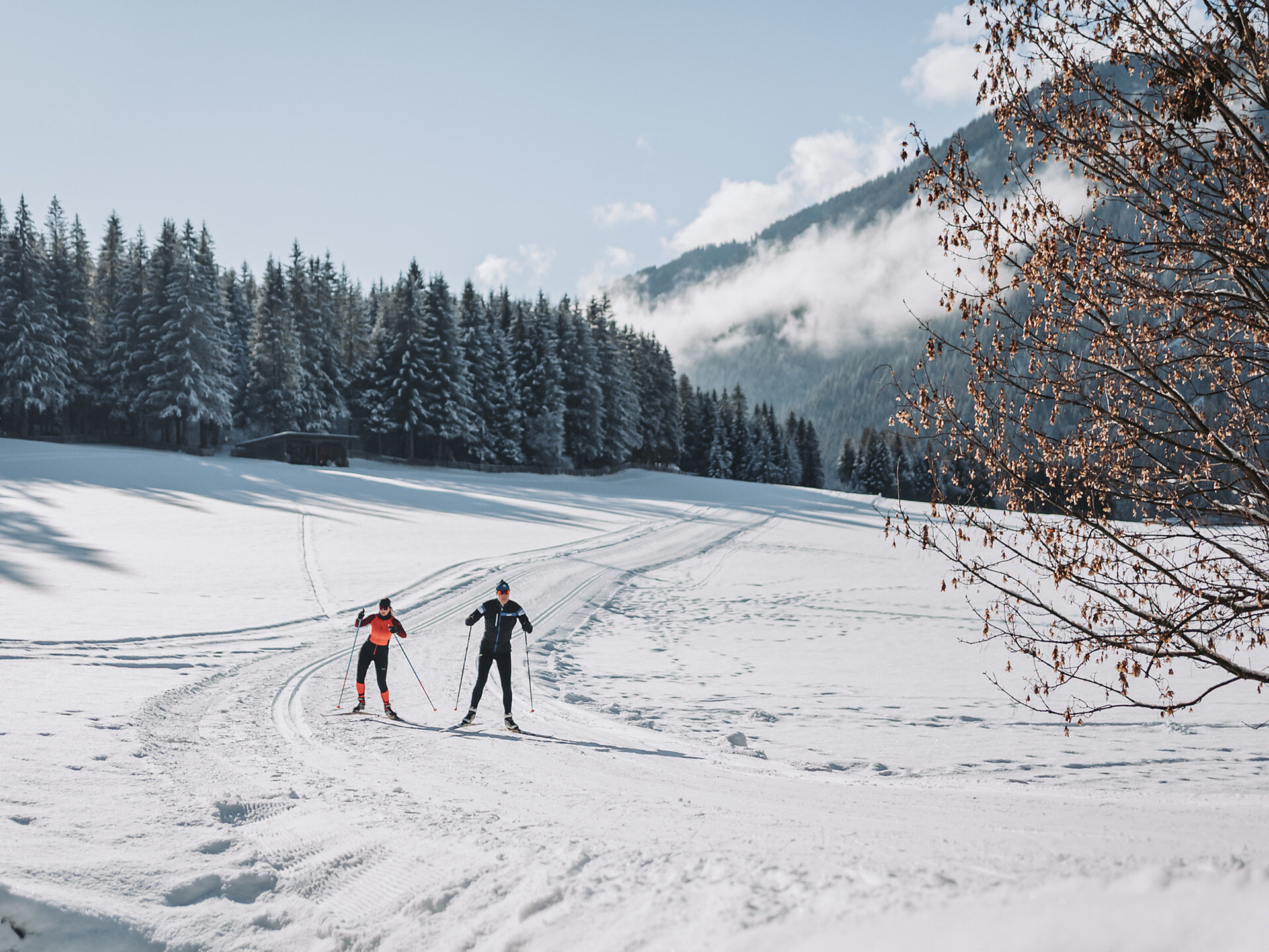 Langlauf Skating: Technik aufbauen auf den Langlaufloipen des Gsiesertales -  - #1 - suedtirol.info