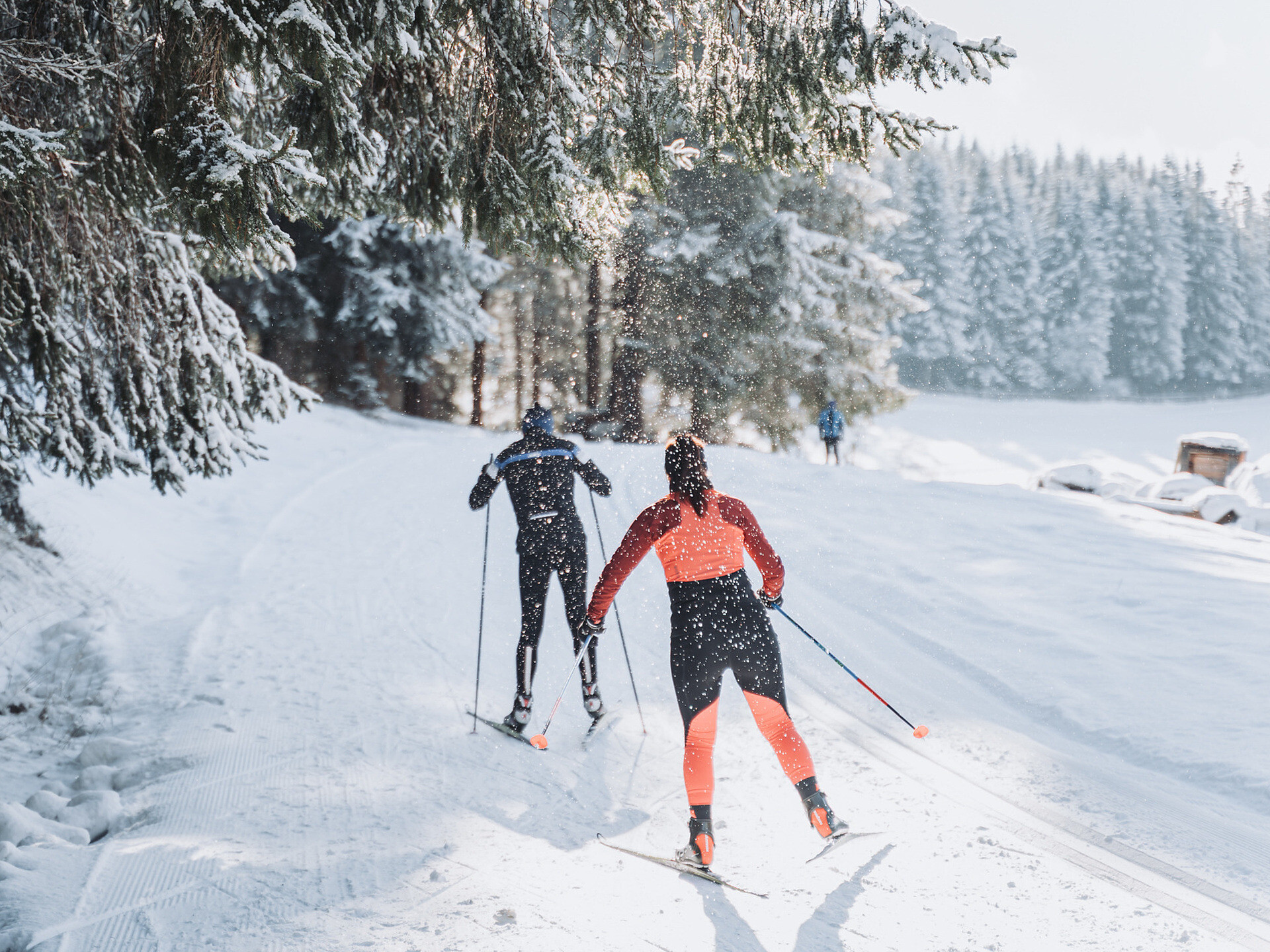 Sci di fondo skating: imparare le basi sulle piste da fondo della Val Casies -  - #2 - suedtirol.info