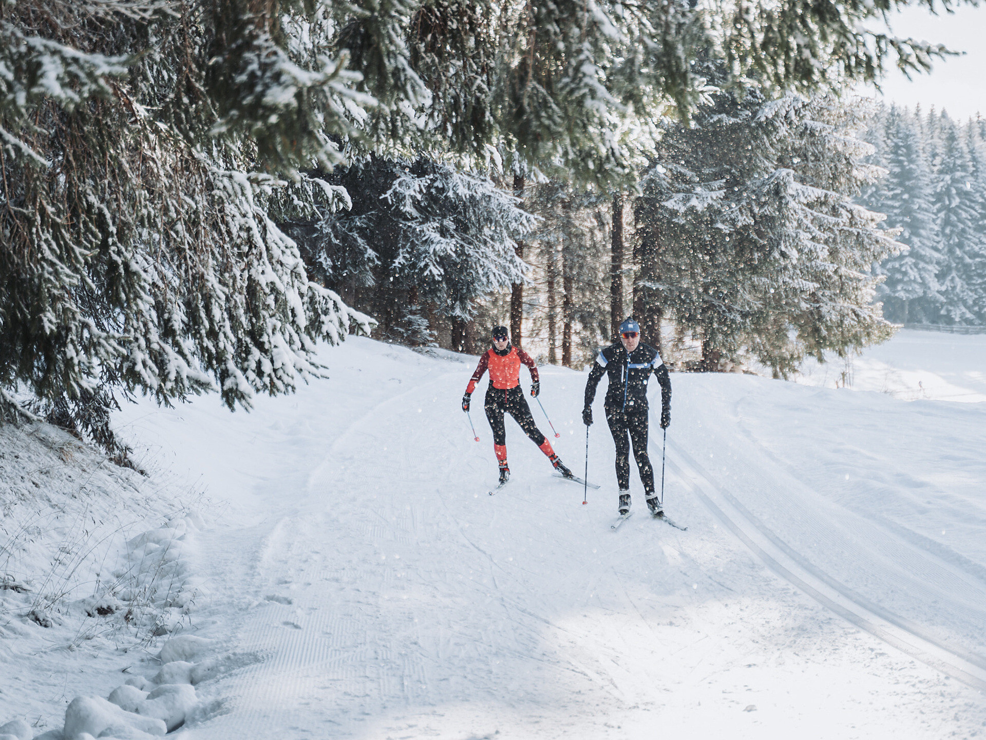 Sci di fondo skating: imparare le basi sulle piste da fondo della Val Casies -  - #1 - suedtirol.info