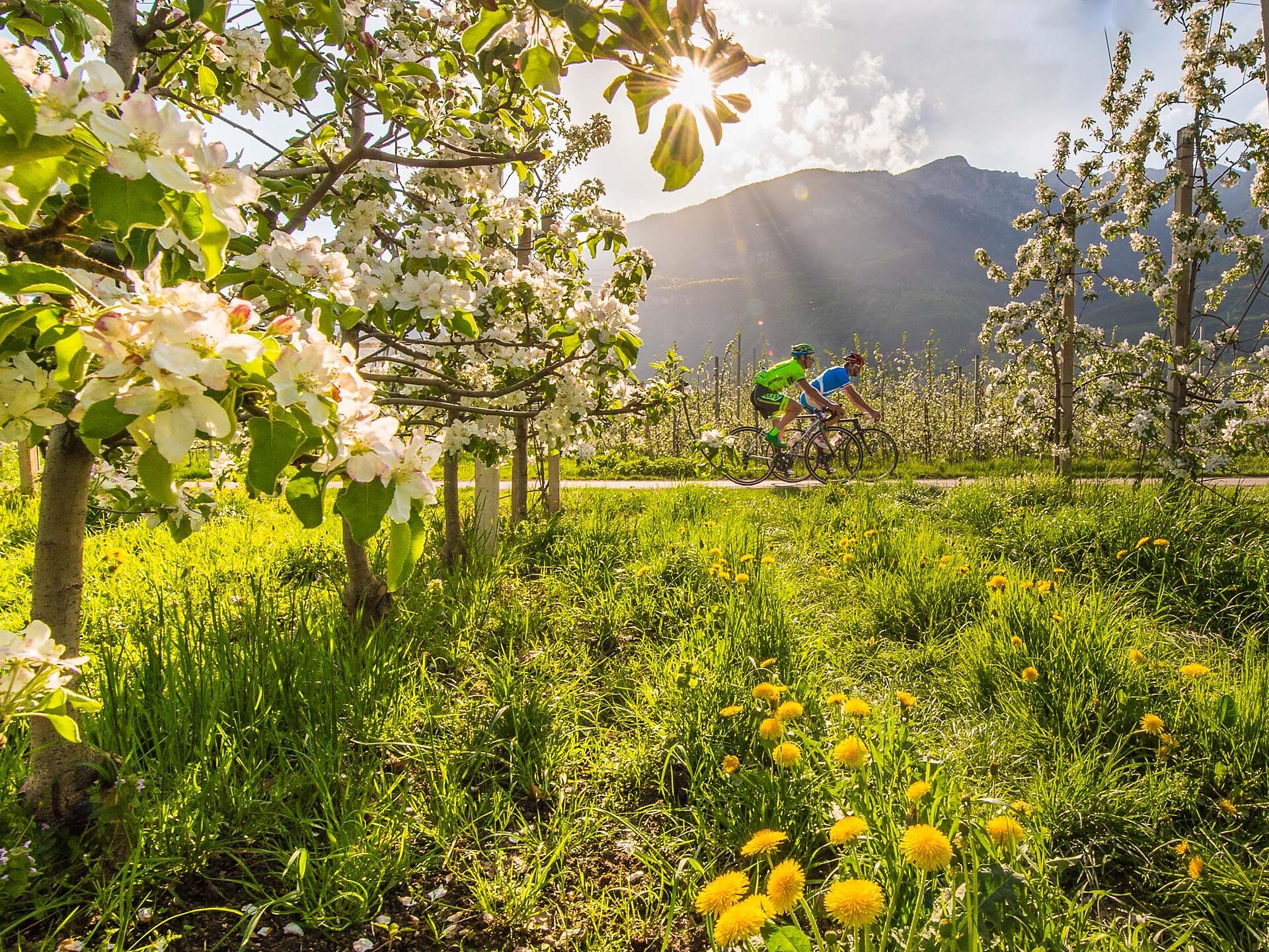 LTS Vollversammlung - Bozen und Umgebung - #1 - suedtirol.info