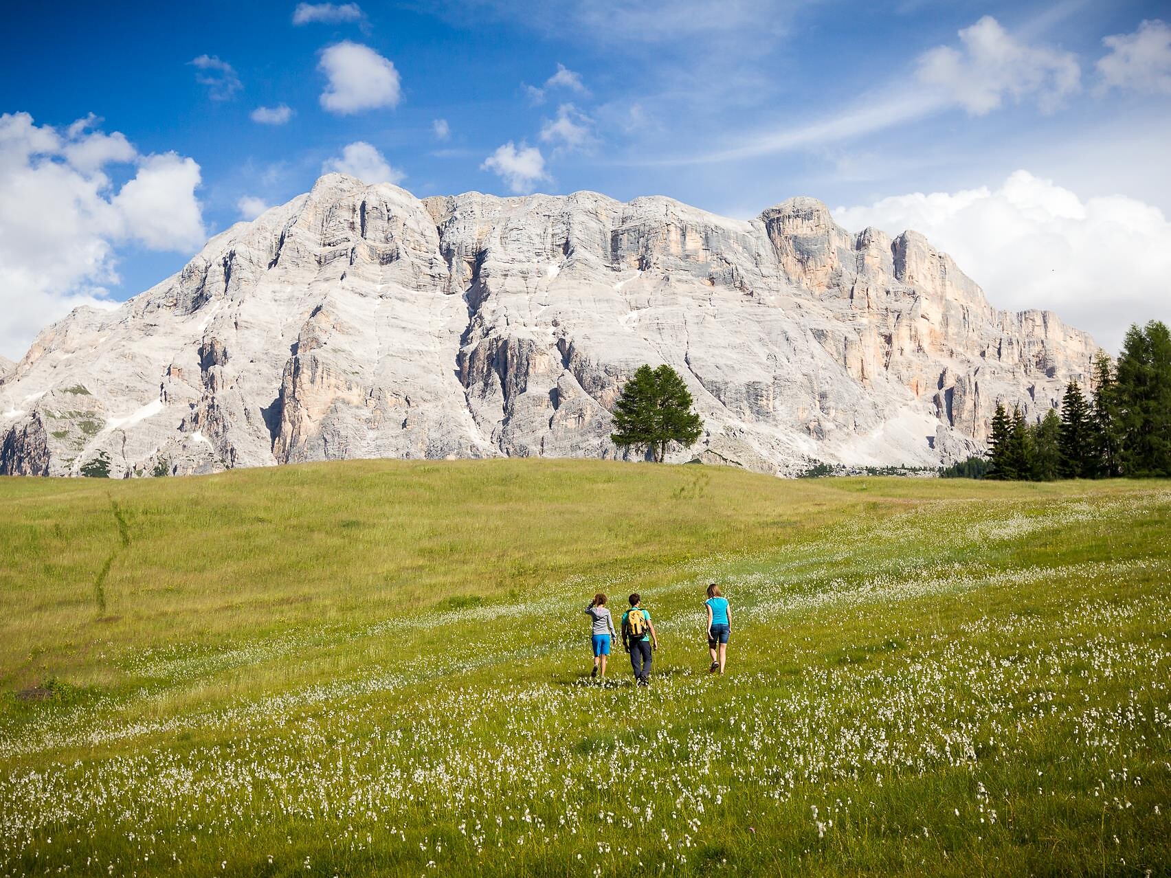 LTS Vollversammlung - Bozen und Umgebung - #2 - suedtirol.info