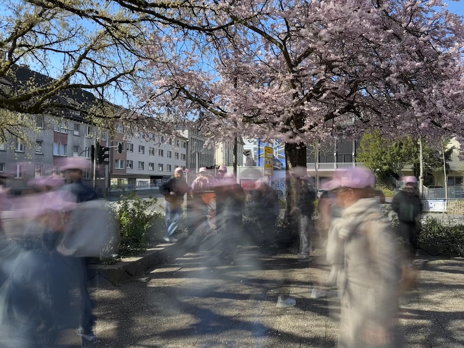 LanaLive -  Der öffentliche Raum zwischen Stadt und Land Lana 1 suedtirol.info